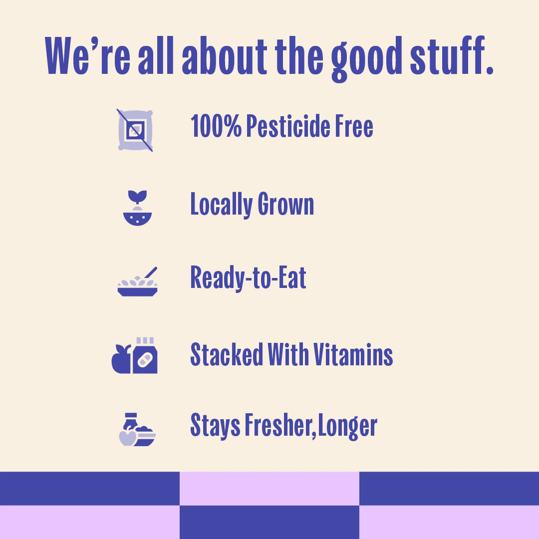 Parsley benefits list