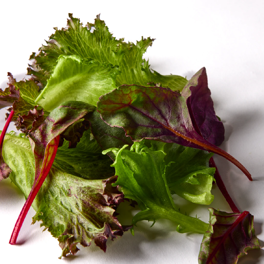 Mesclun mix leaves