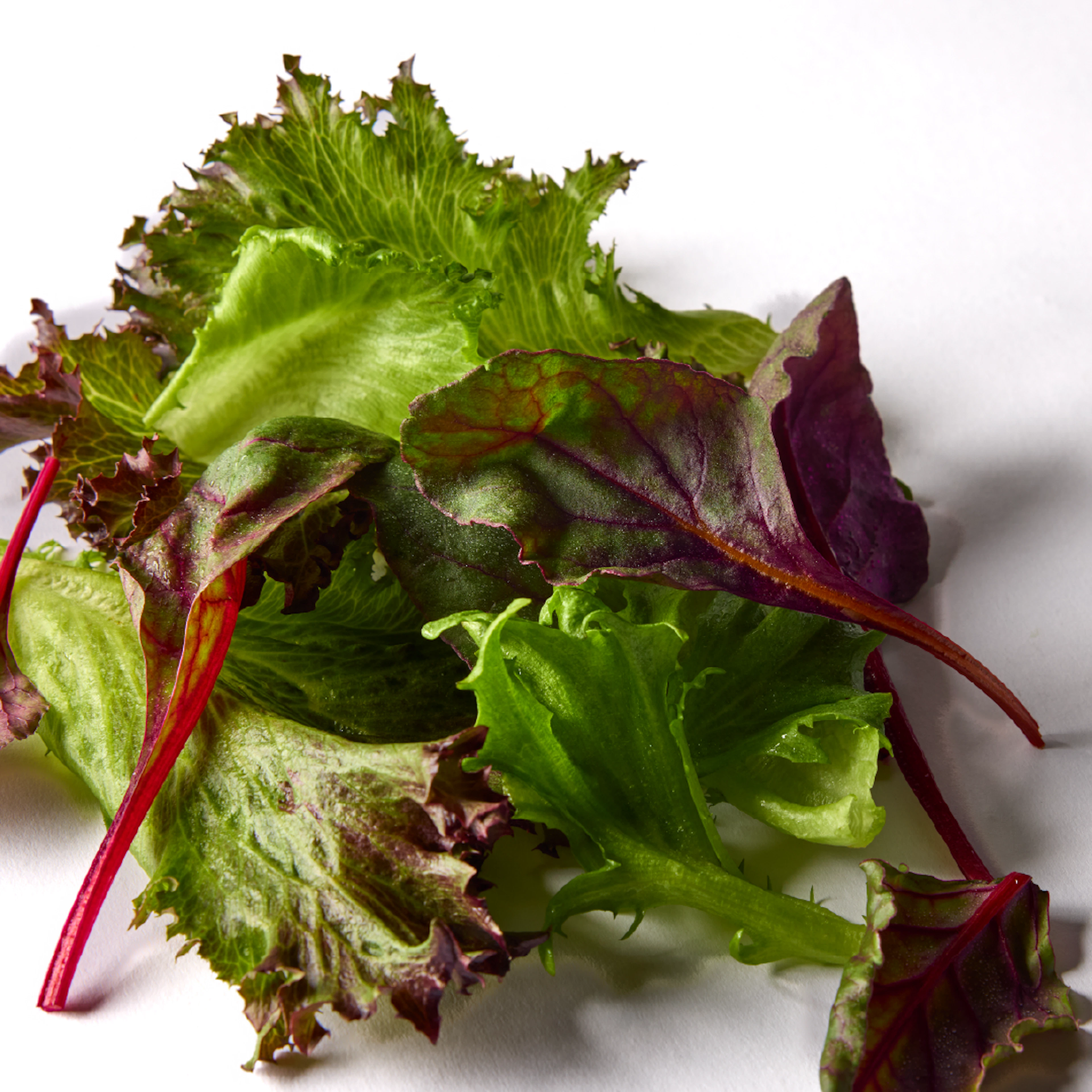 Mesclun mix leaves