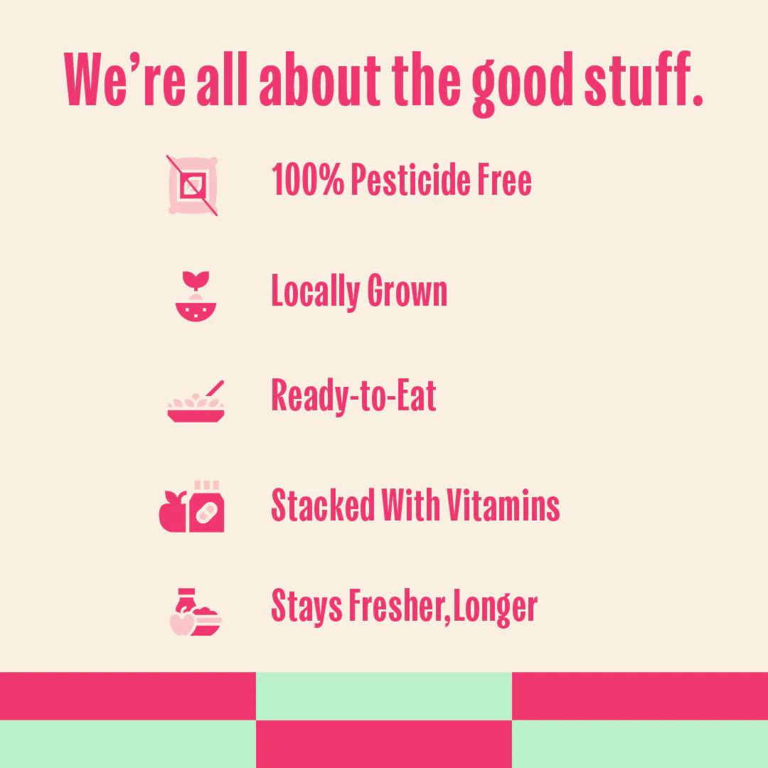 Mint benefits list