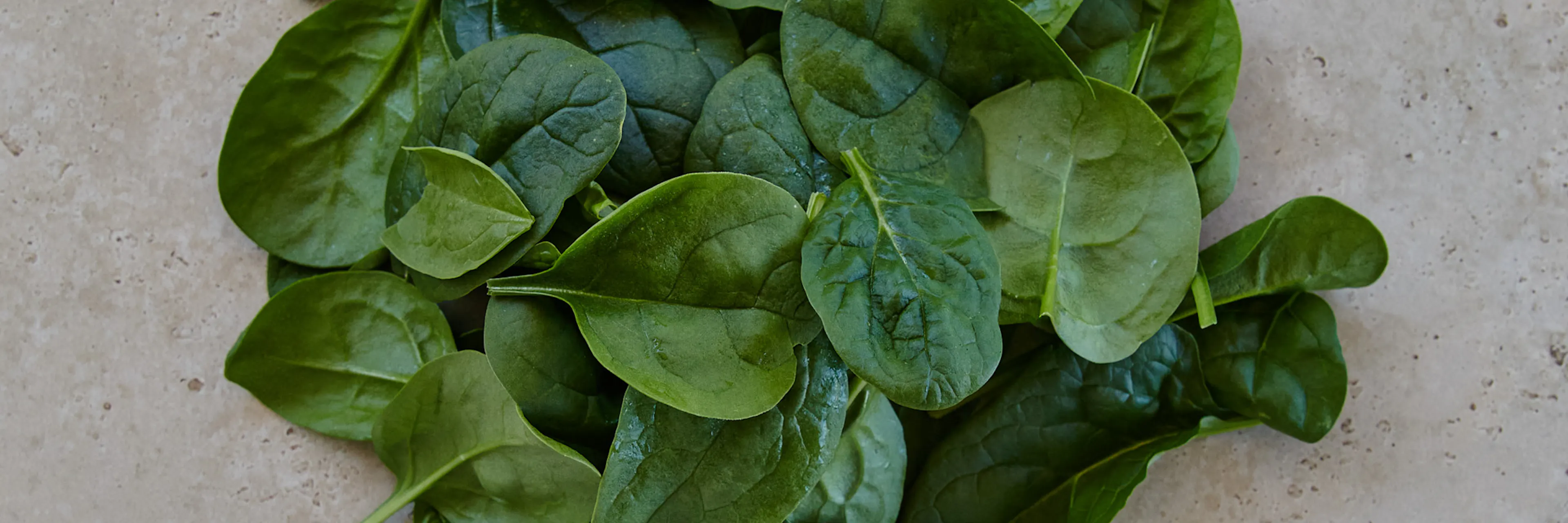 Spinach leaves closeup