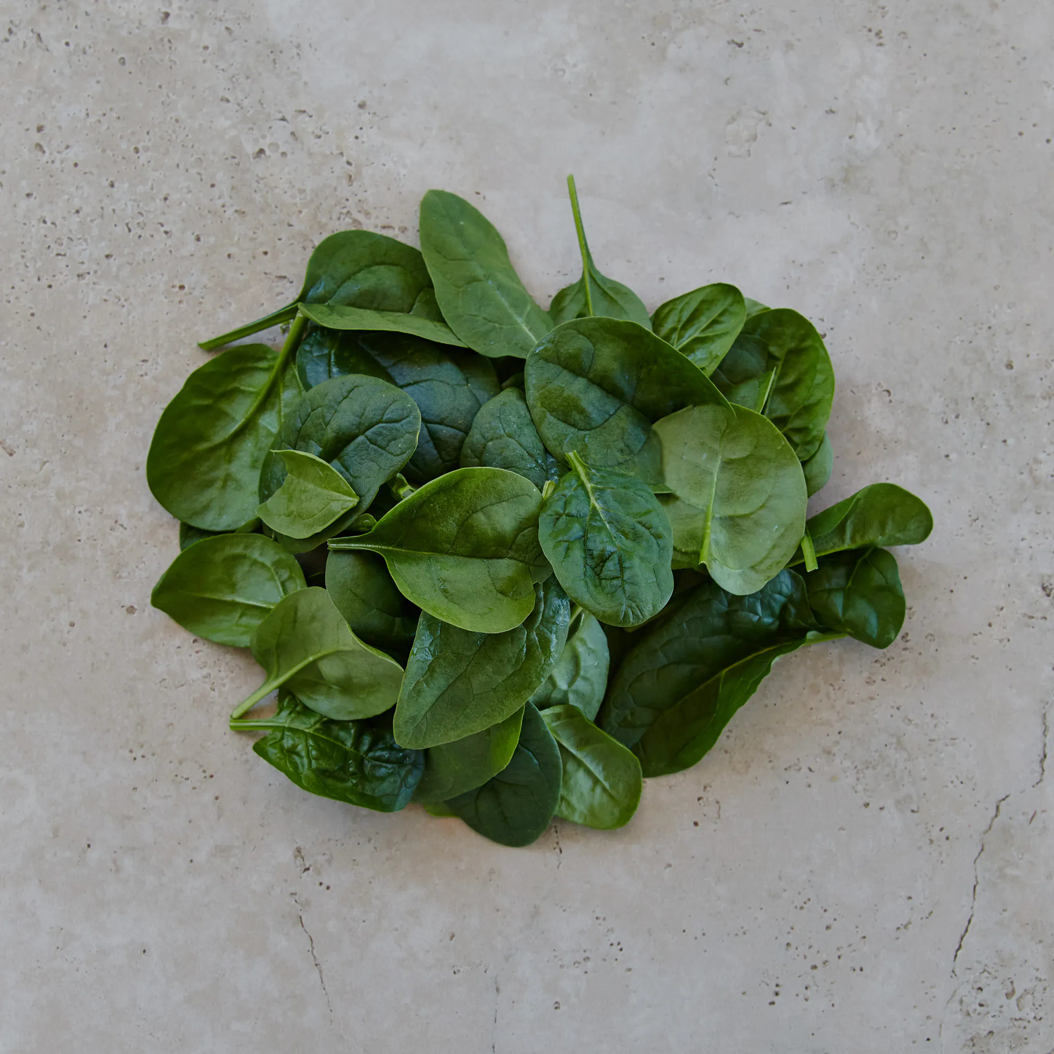 Spinach leaves closeup