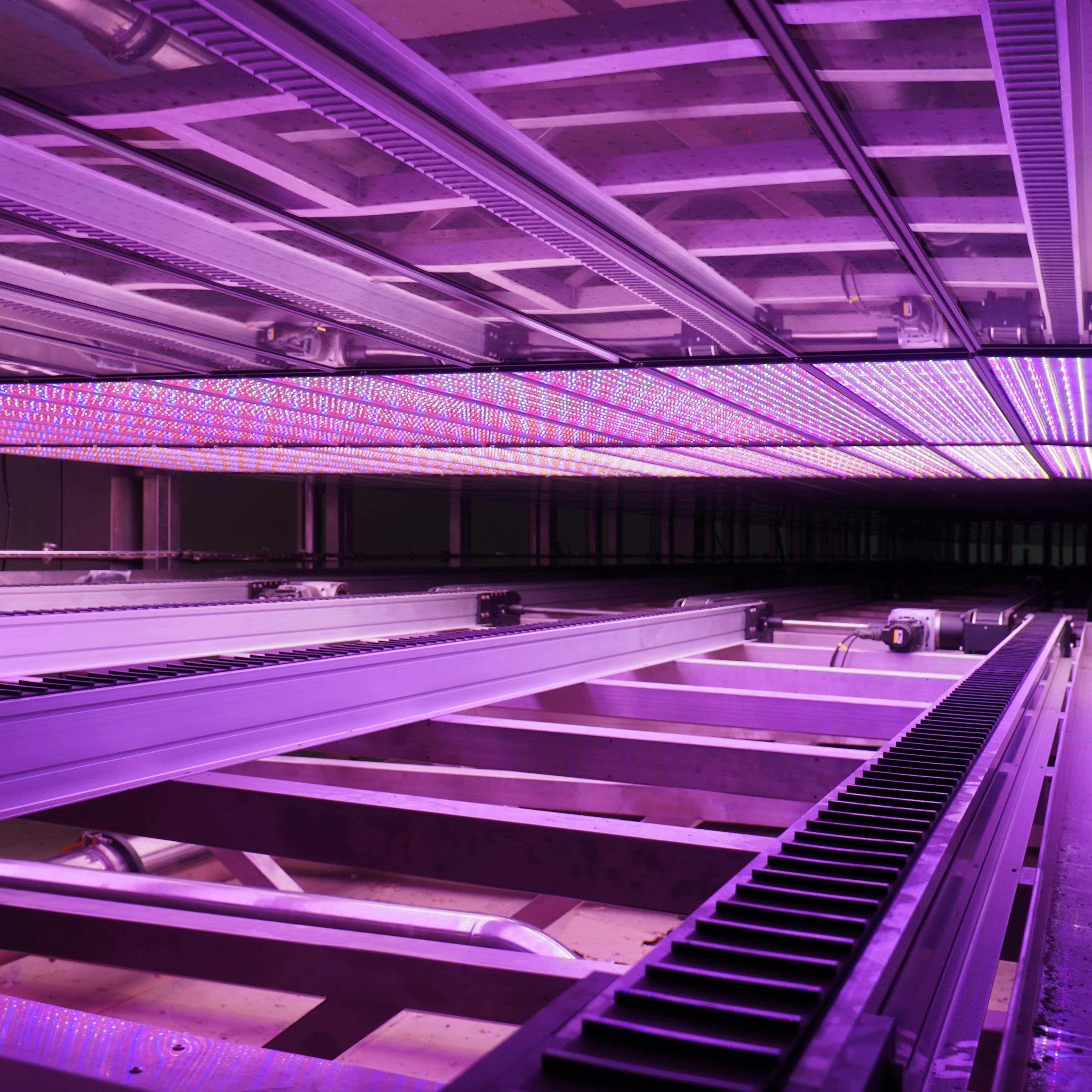 Vertical farm rack