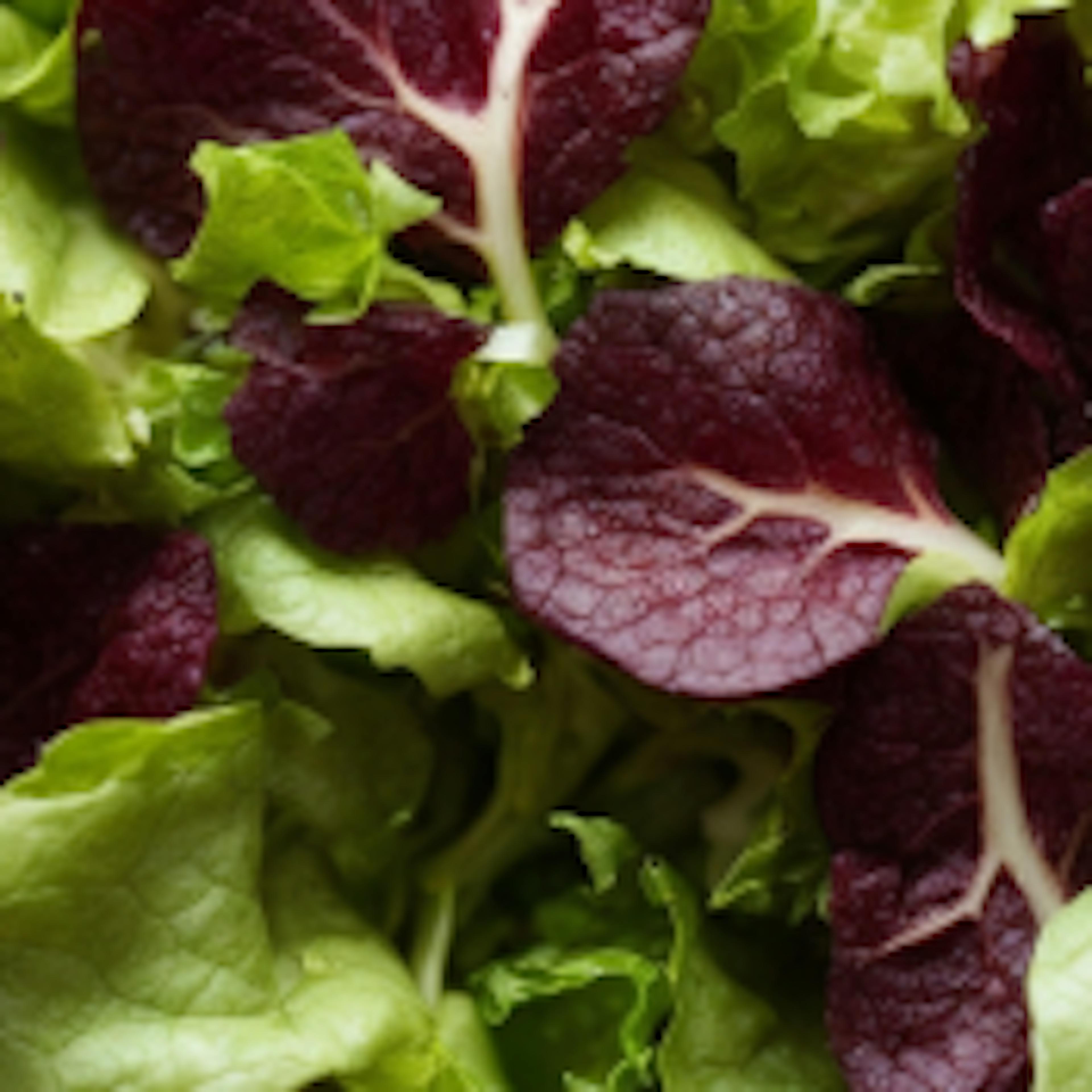 Mixed salad leaves