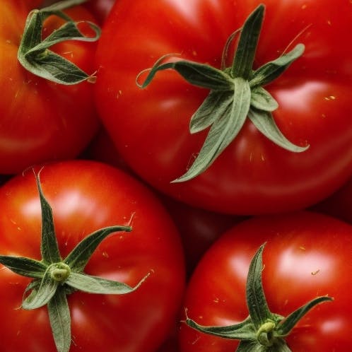 Macro of tomatoes