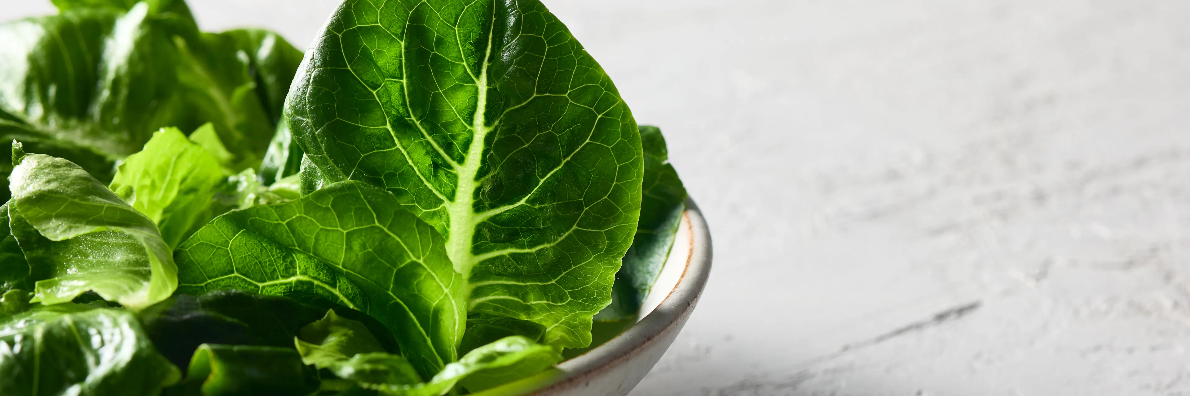 Cos lettuce in a bowl