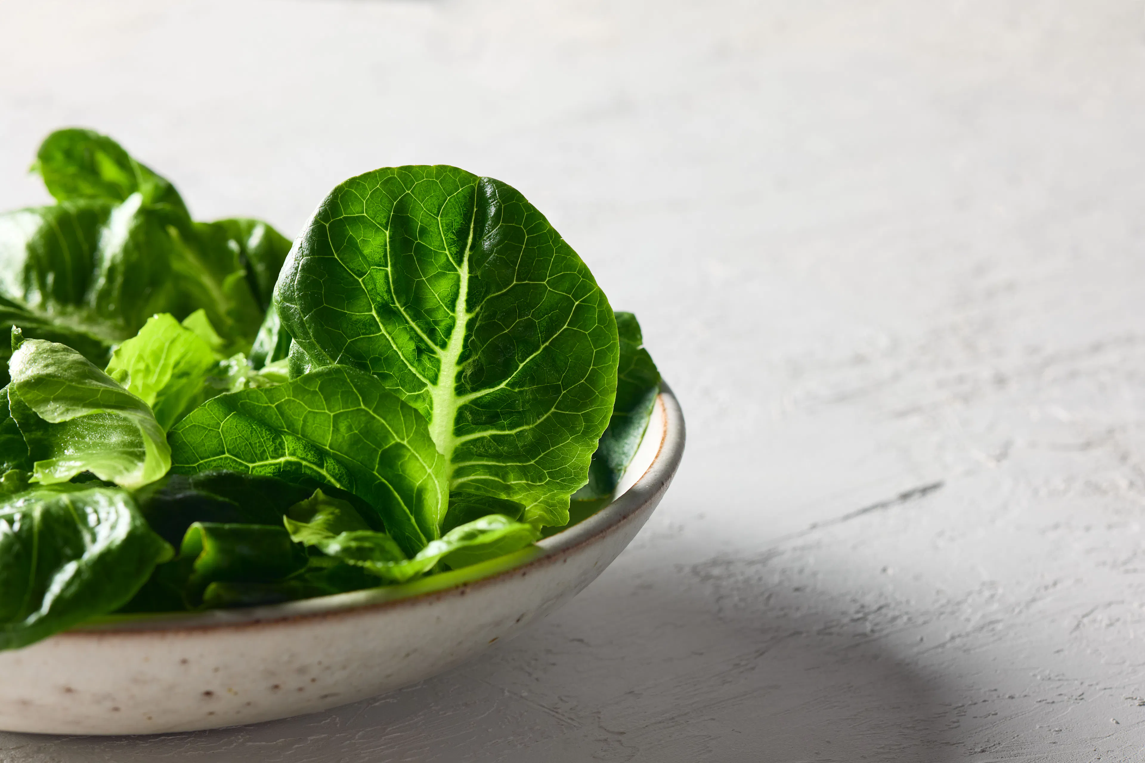 Cos lettuce in a bowl