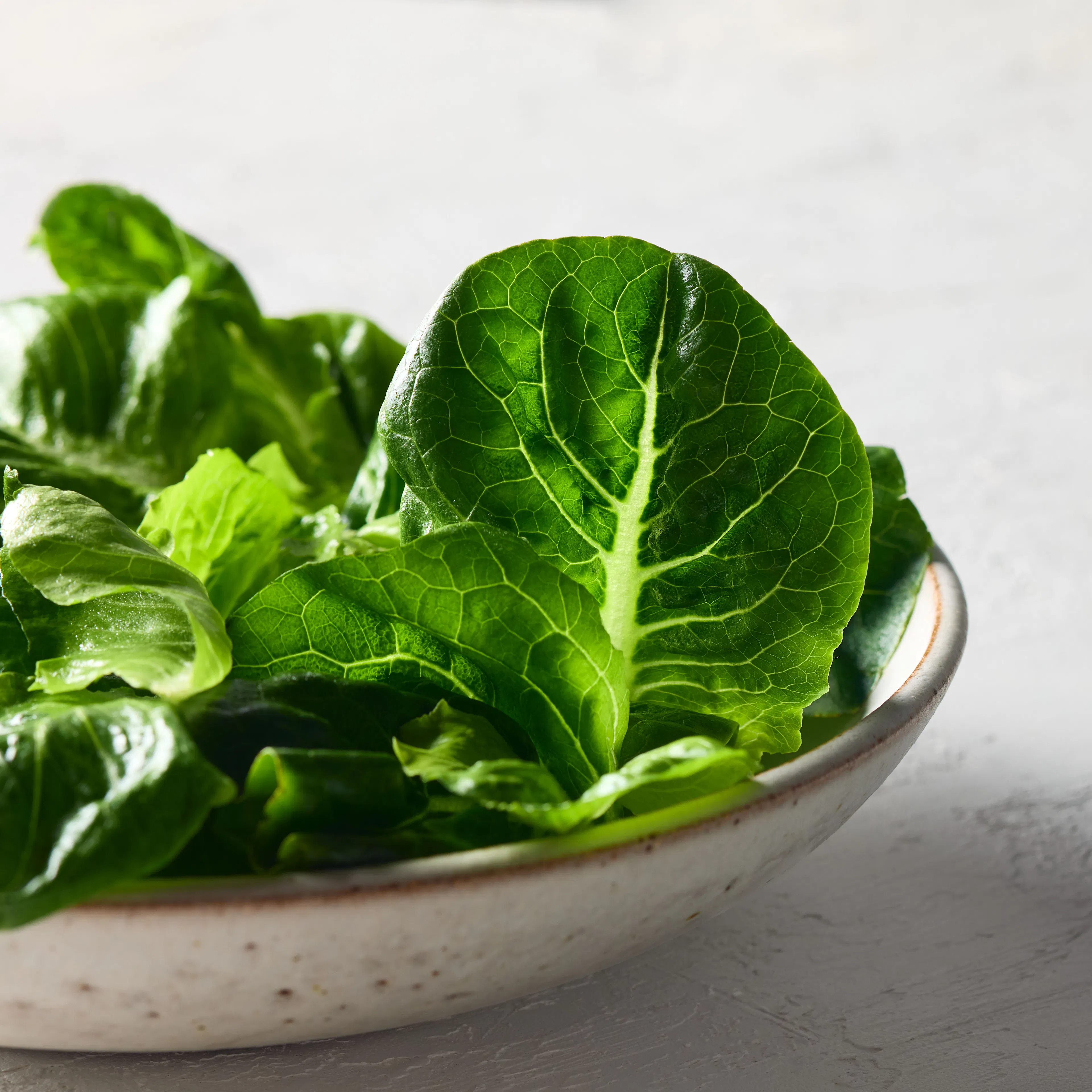Cos lettuce in a bowl