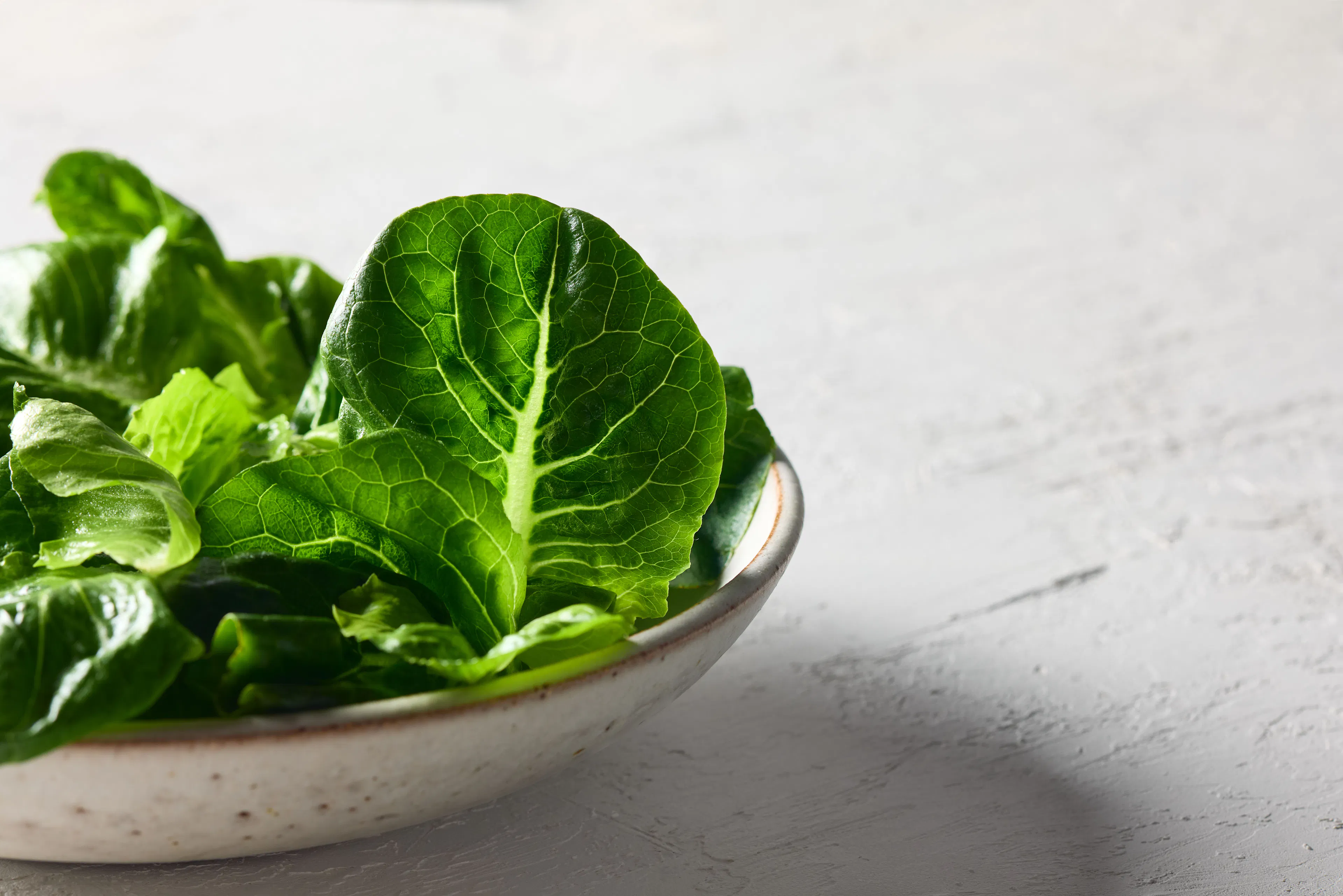 Cos lettuce in a bowl