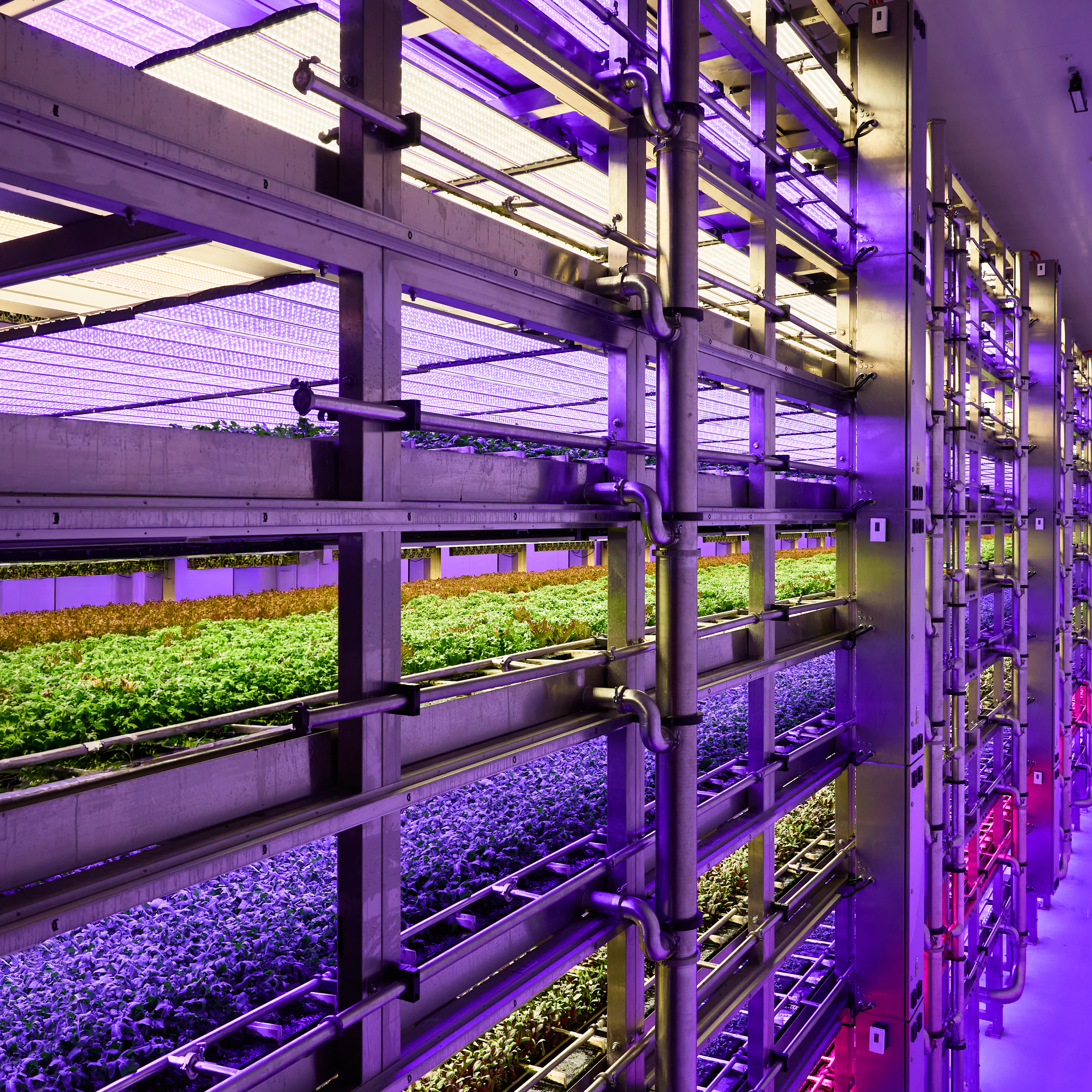 Stacked Farm arundel with produce