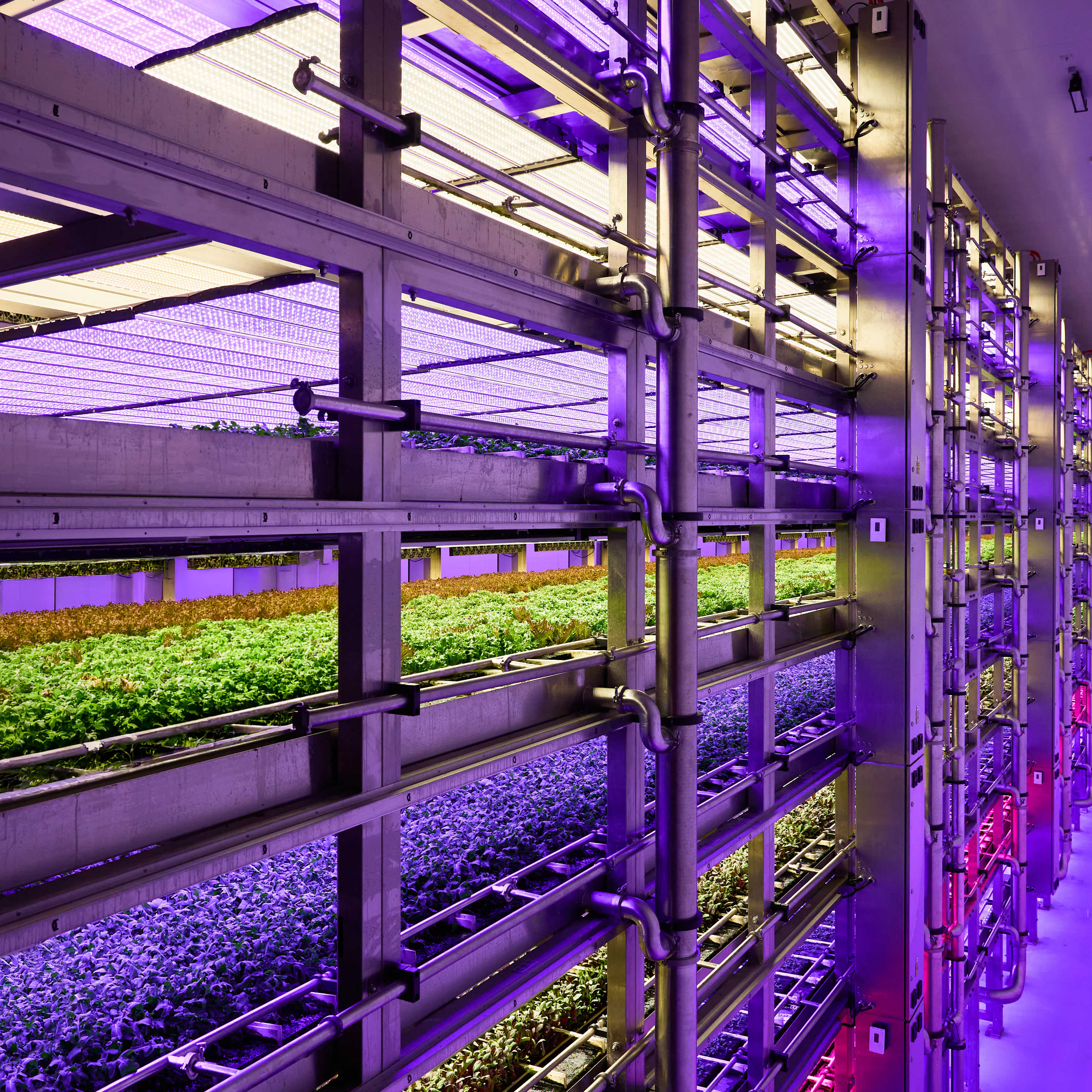Stacked Farm arundel with produce