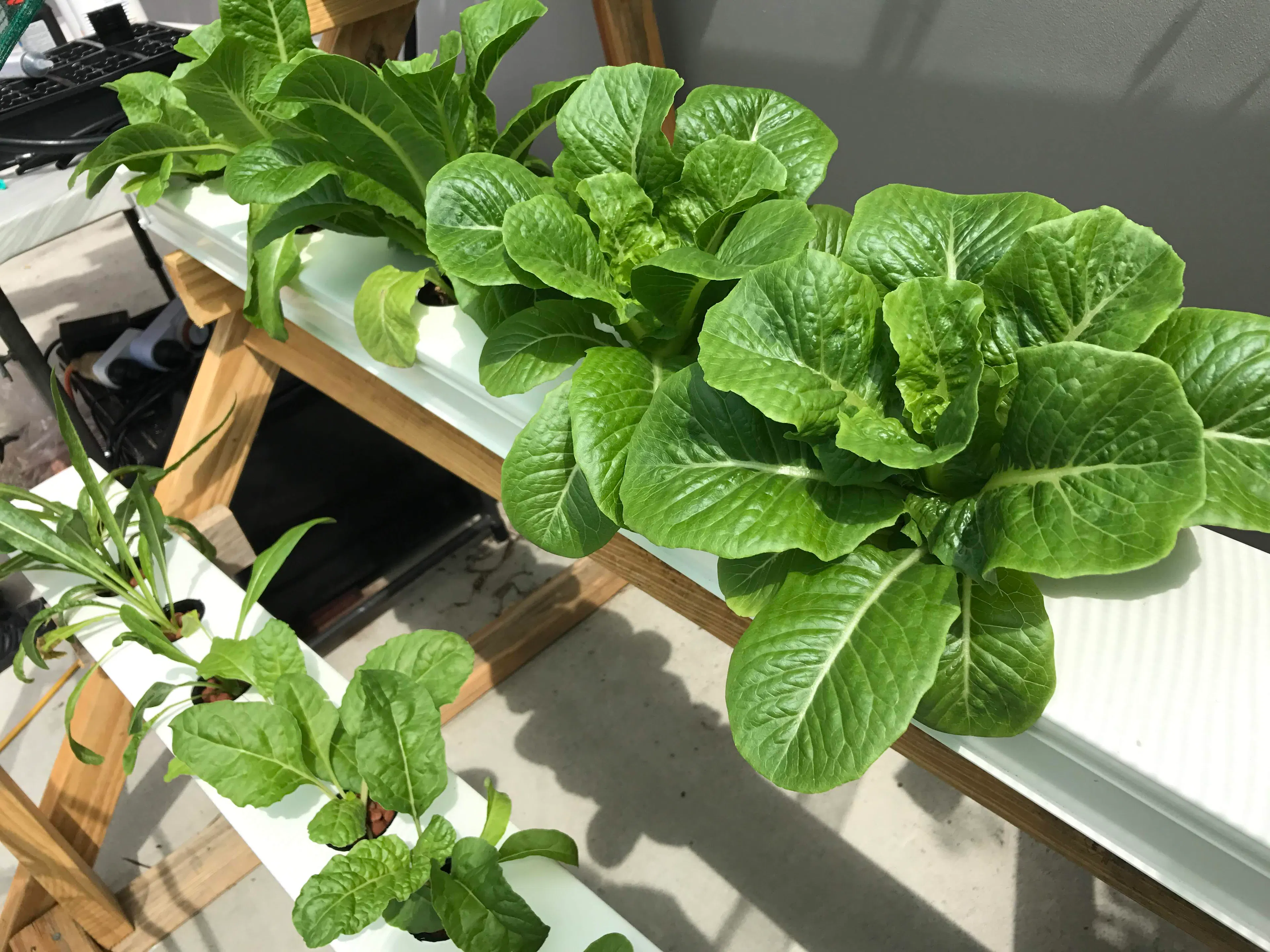 Stacked Farm Home Hydroponic setup