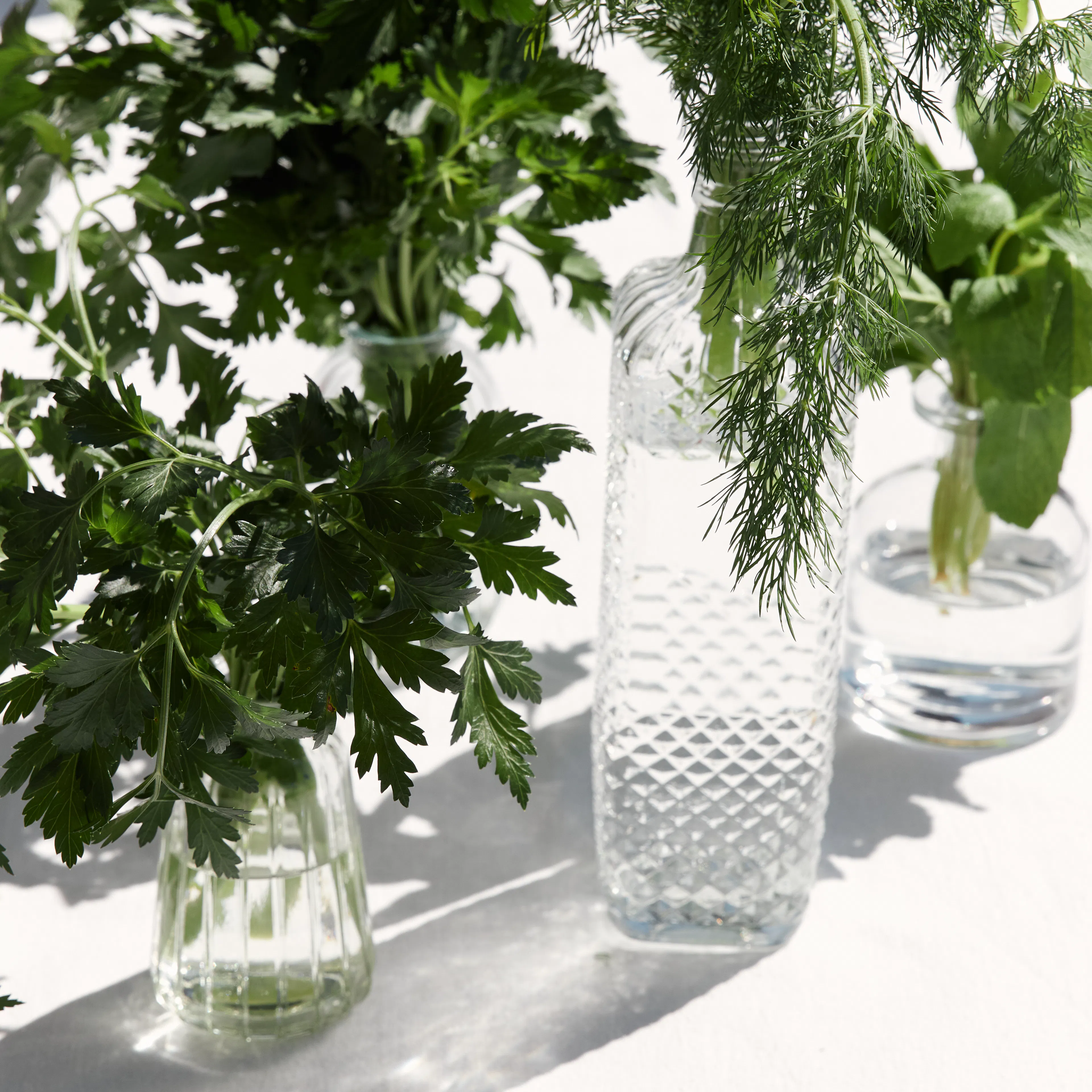 Storing fresh herbs in jars