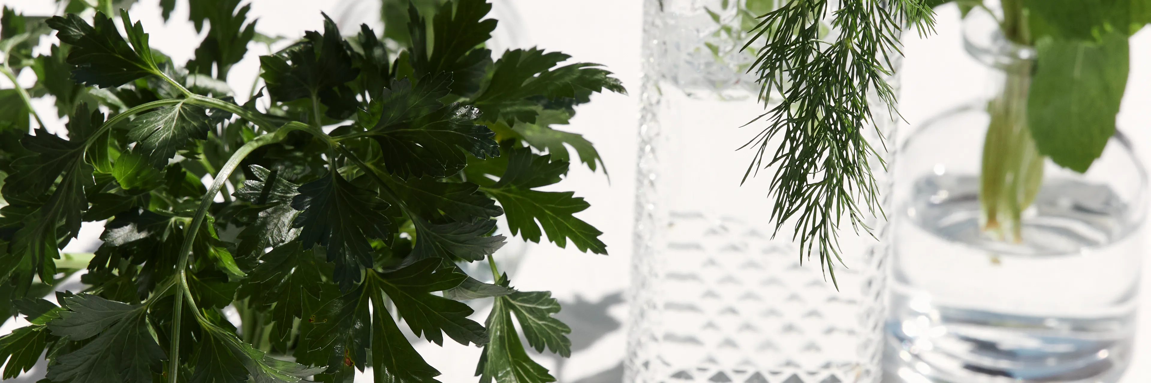 Storing fresh herbs in jars