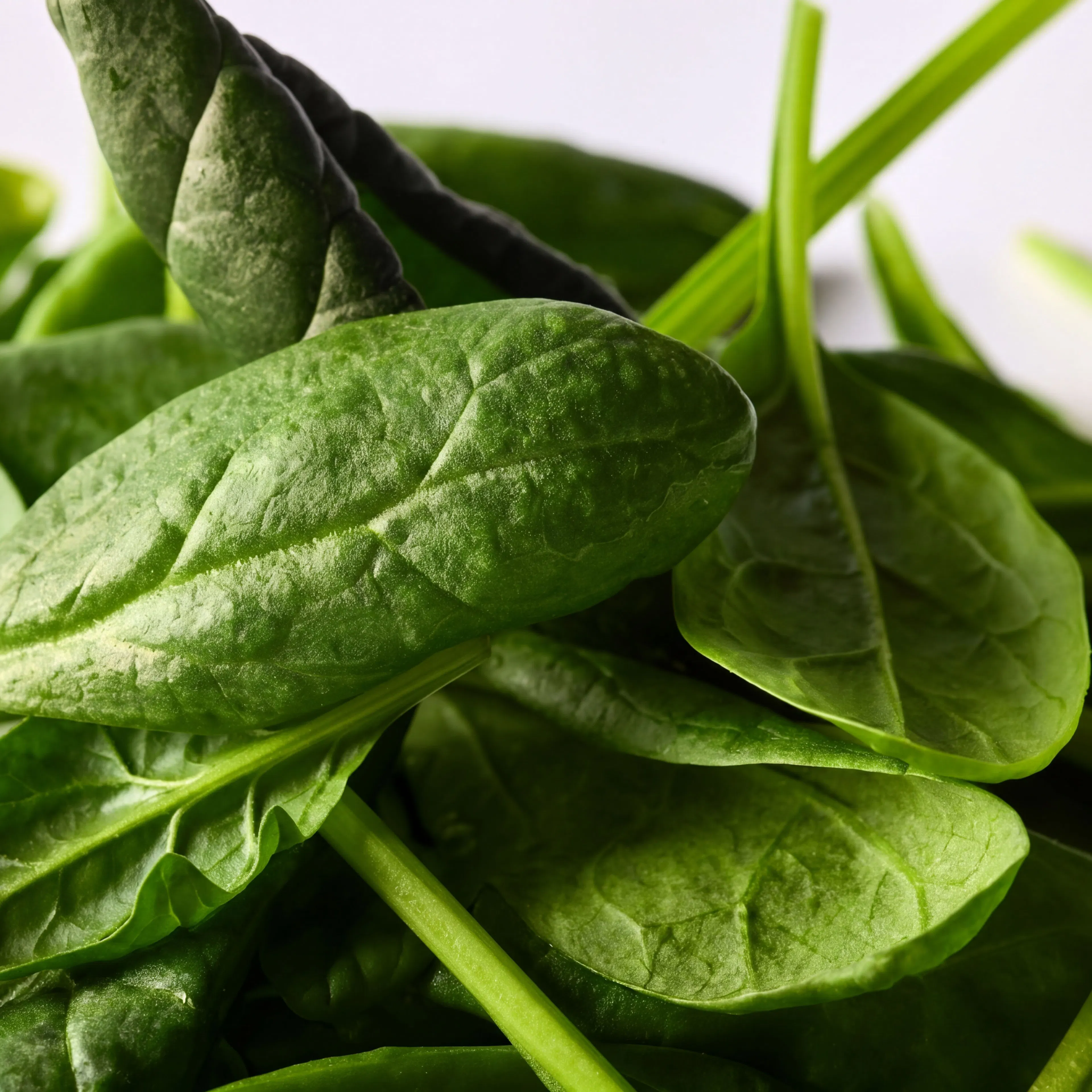 Baby Spinach pic