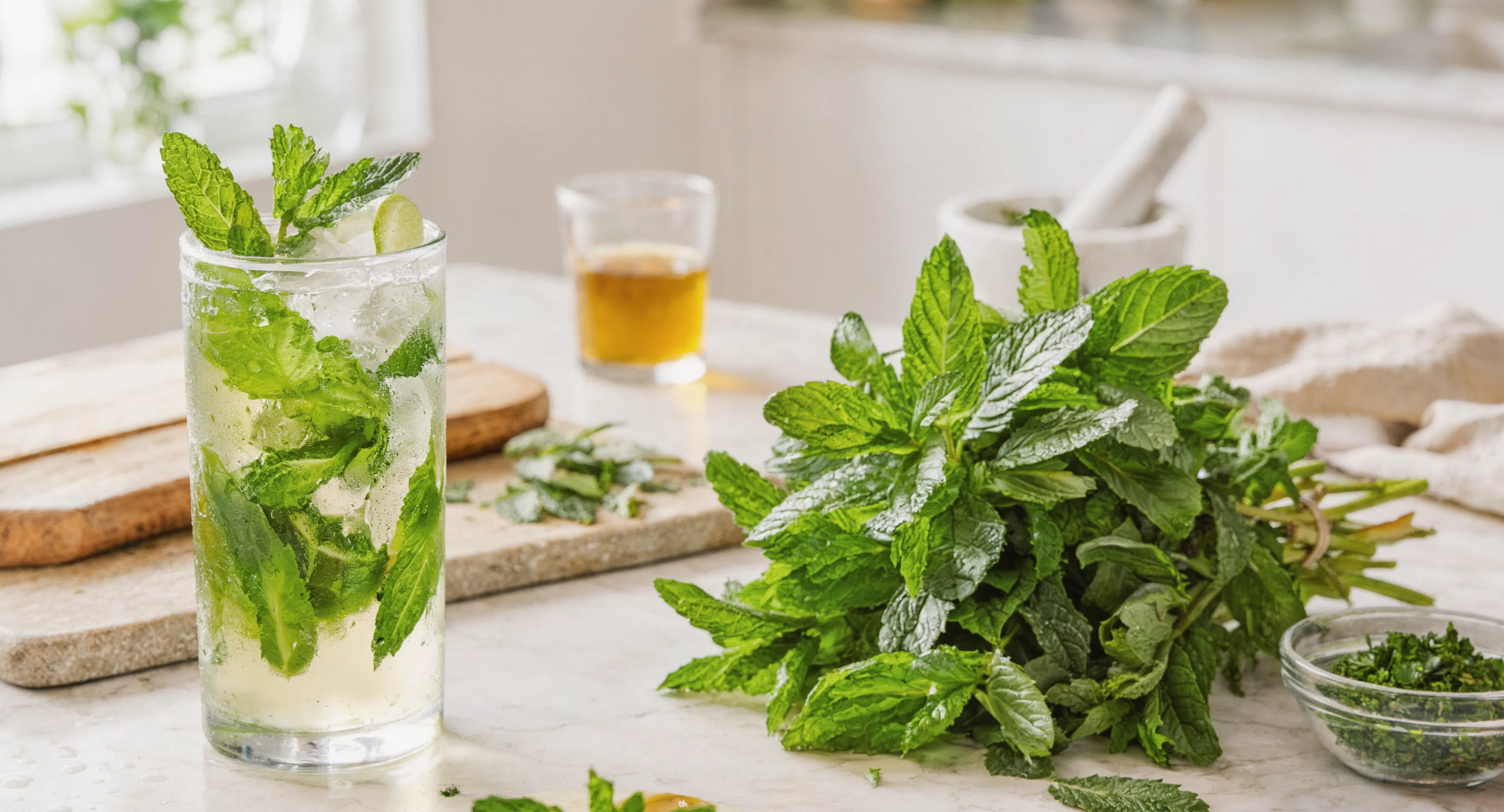 Fresh mint and a mint lemonade drink