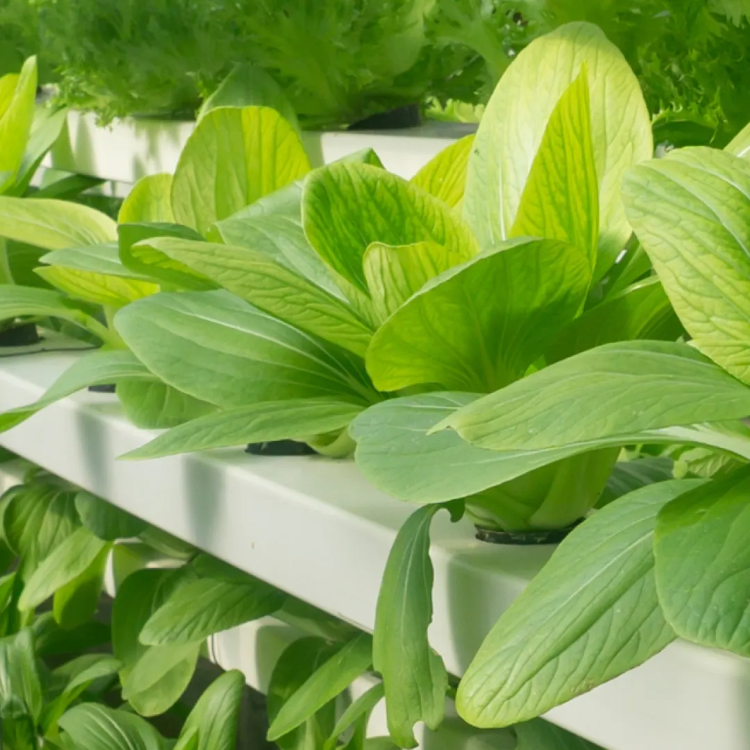 Stacked Farm ® — Farms