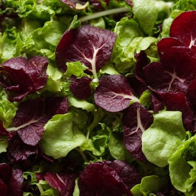 mesclun mix