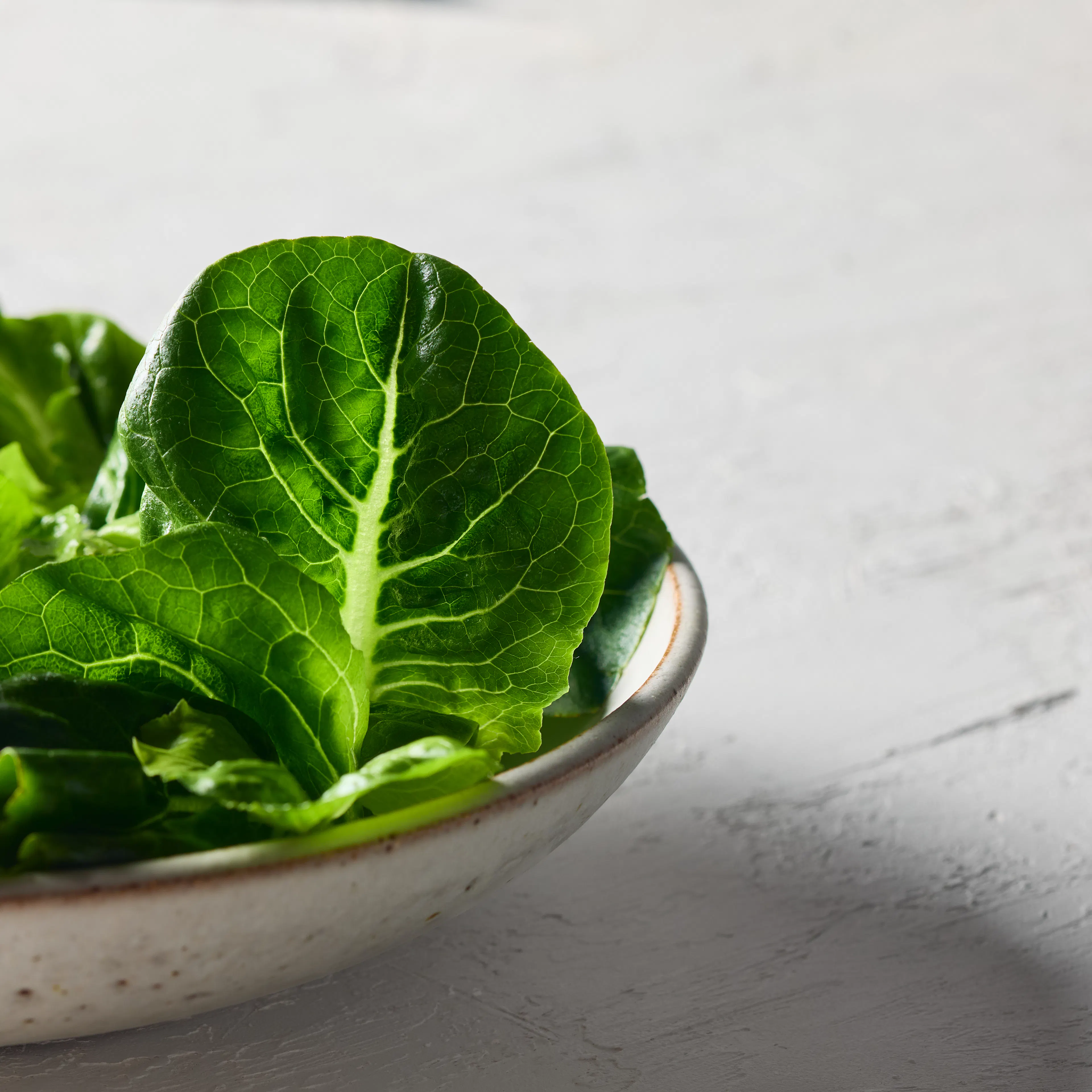 Stacked Farm Cos Lettuce