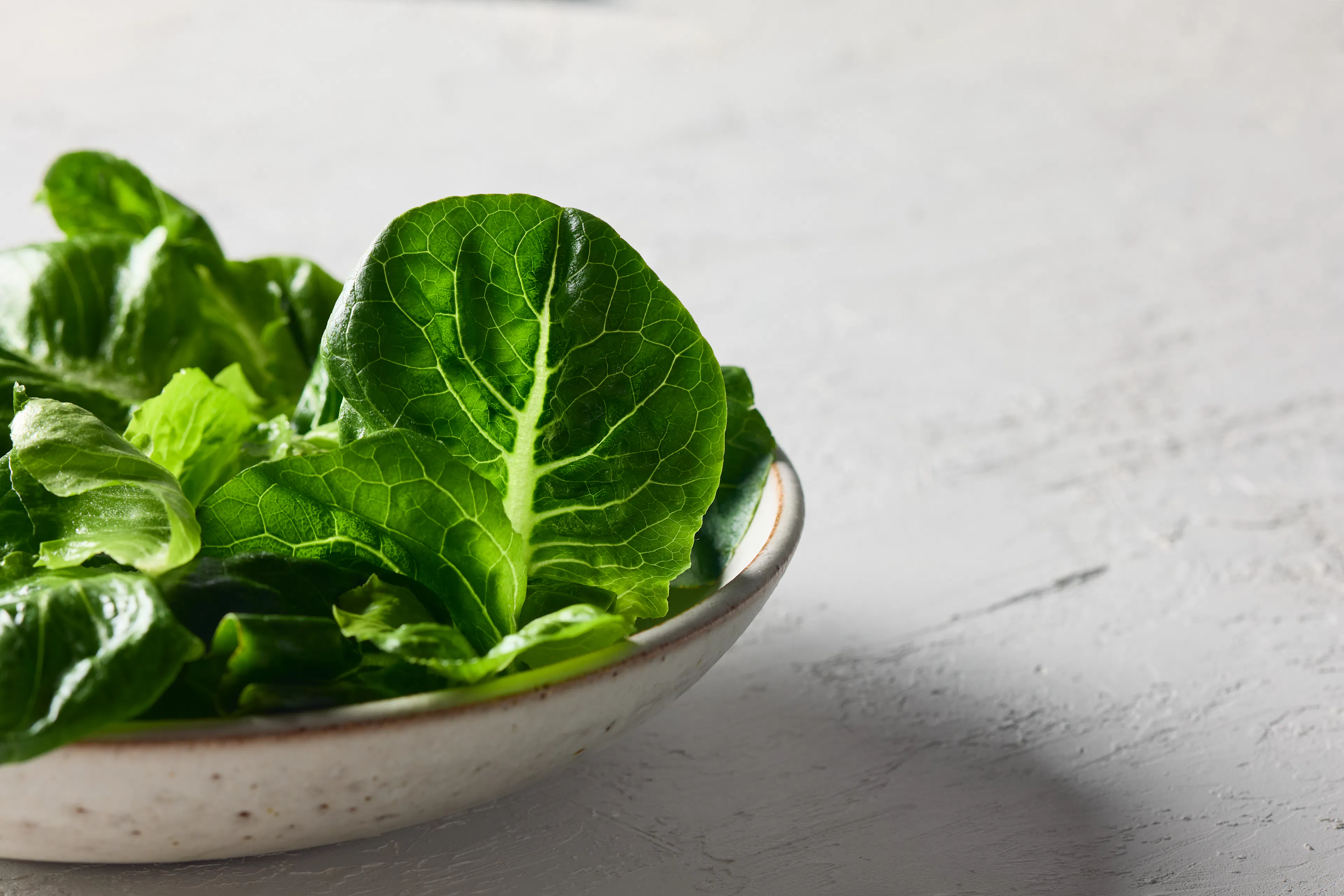 Stacked Farm Cos / romaine Lettuce in a bowl