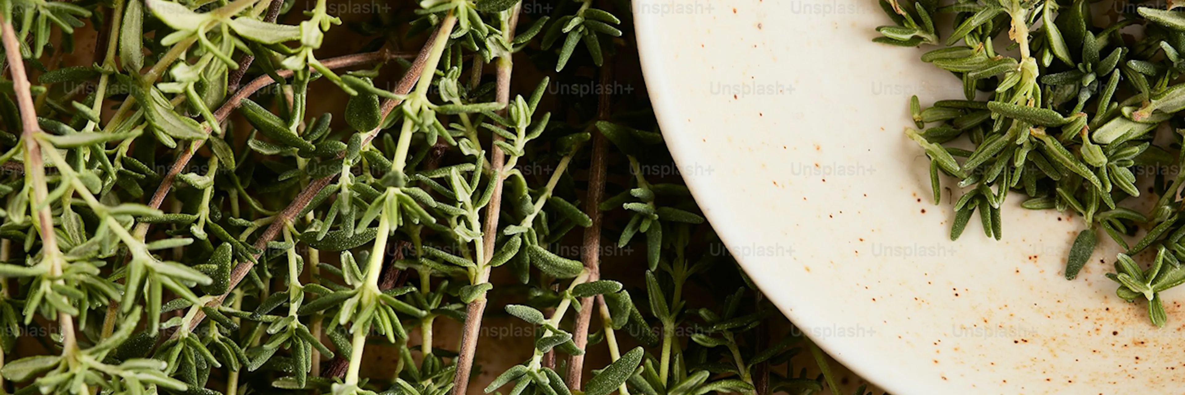 closeup of a plate with herbs