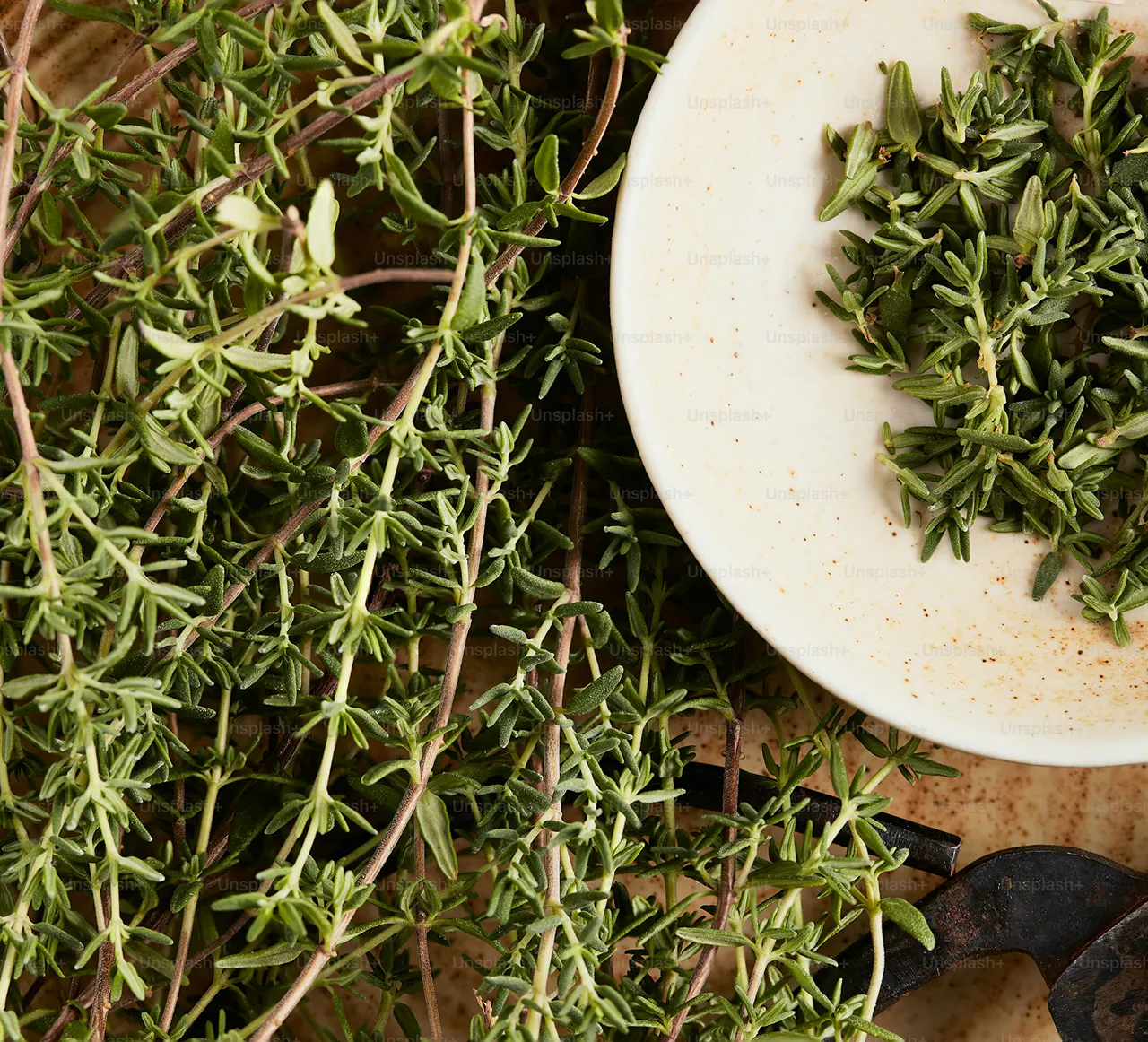closeup of a plate with herbs
