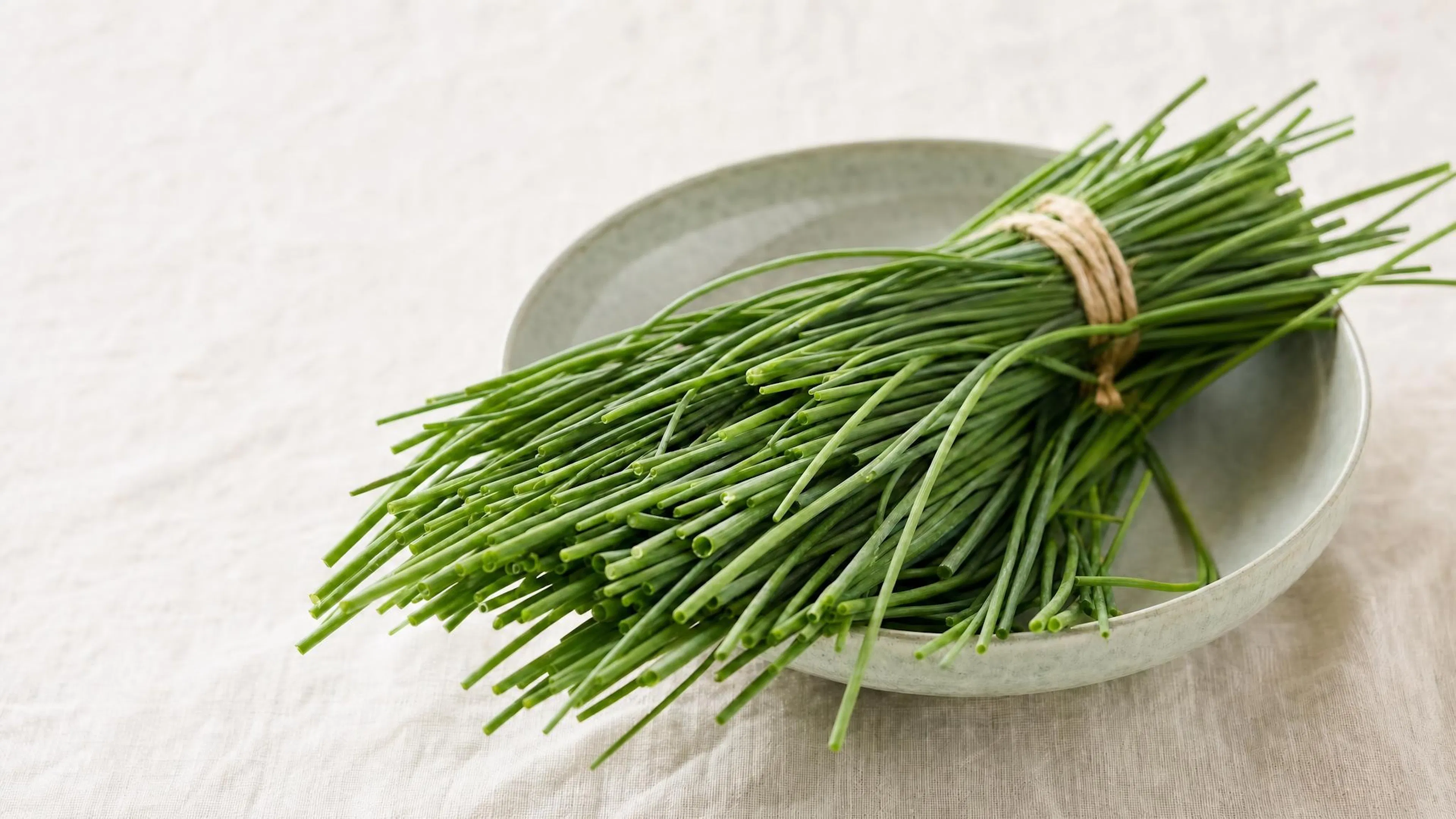 Fresh chives in a bowl