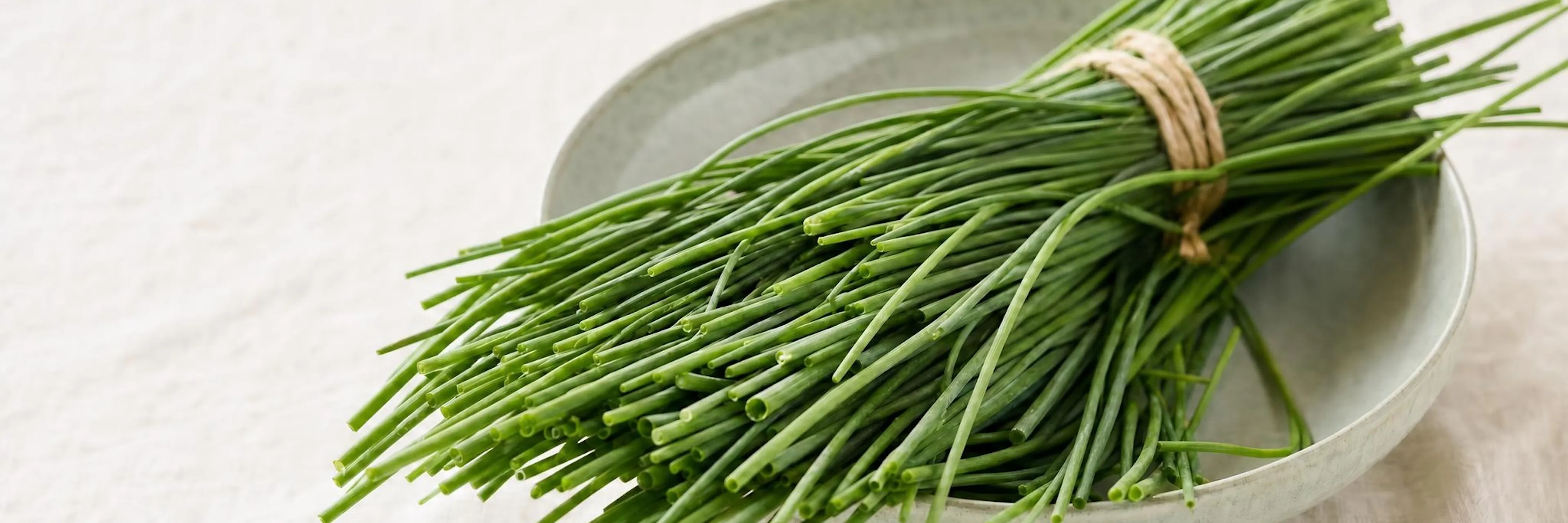 Fresh chives in a bowl
