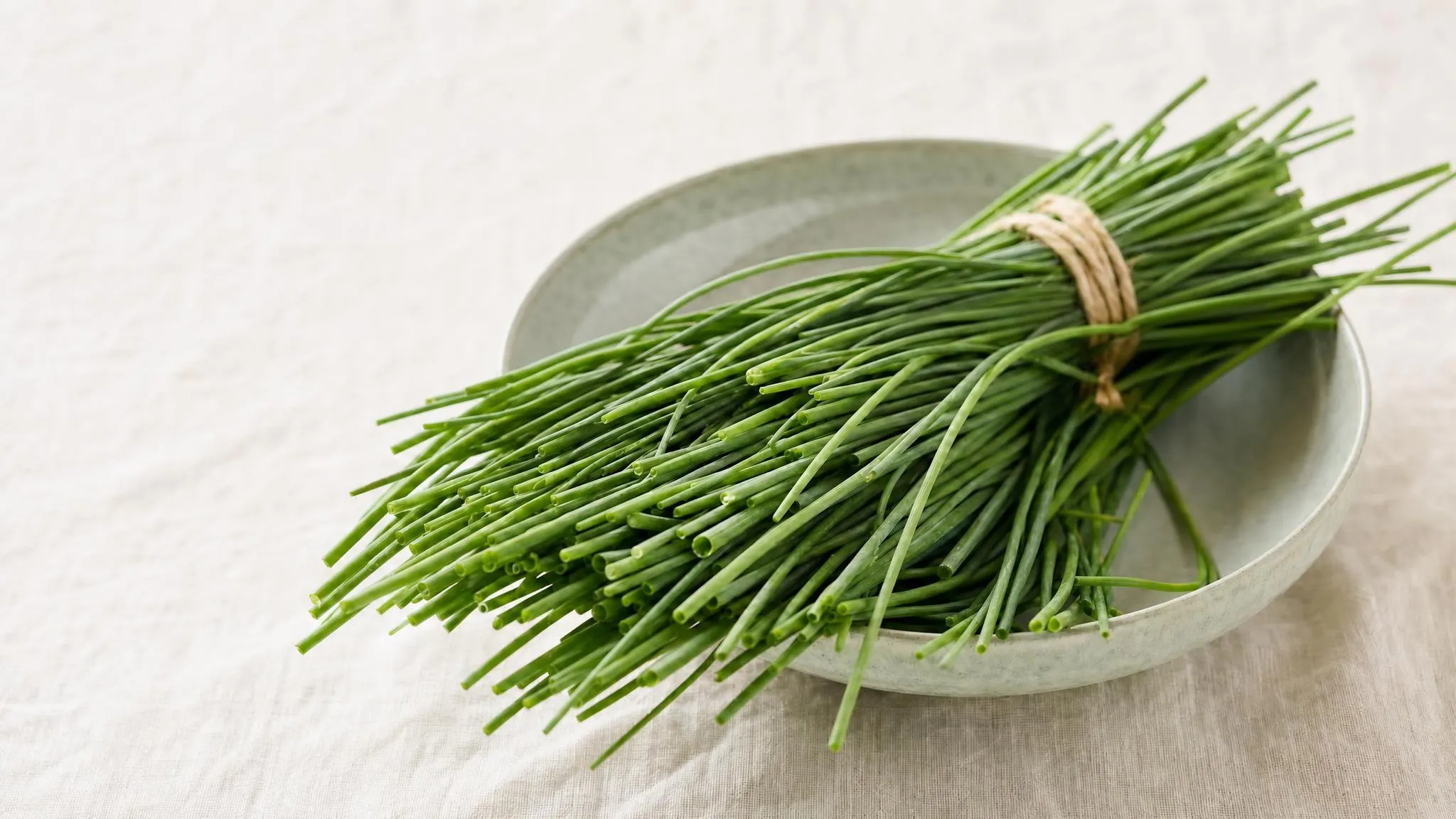 Fresh chives in a bowl