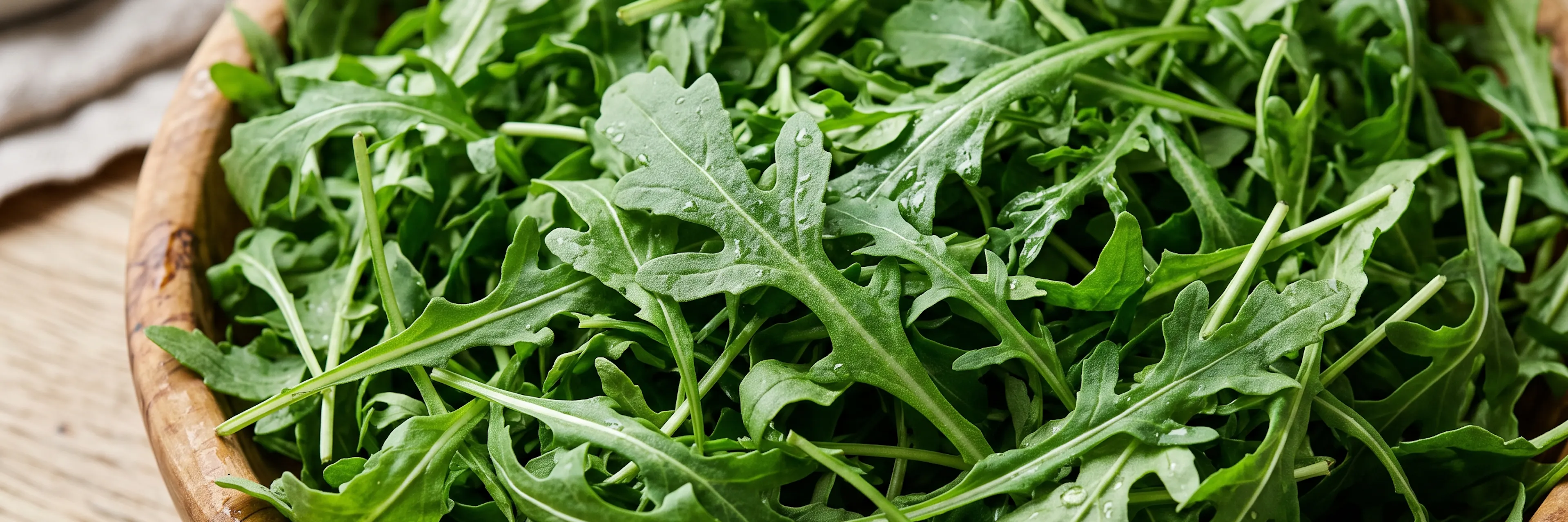Closeup of rocket in a bowl