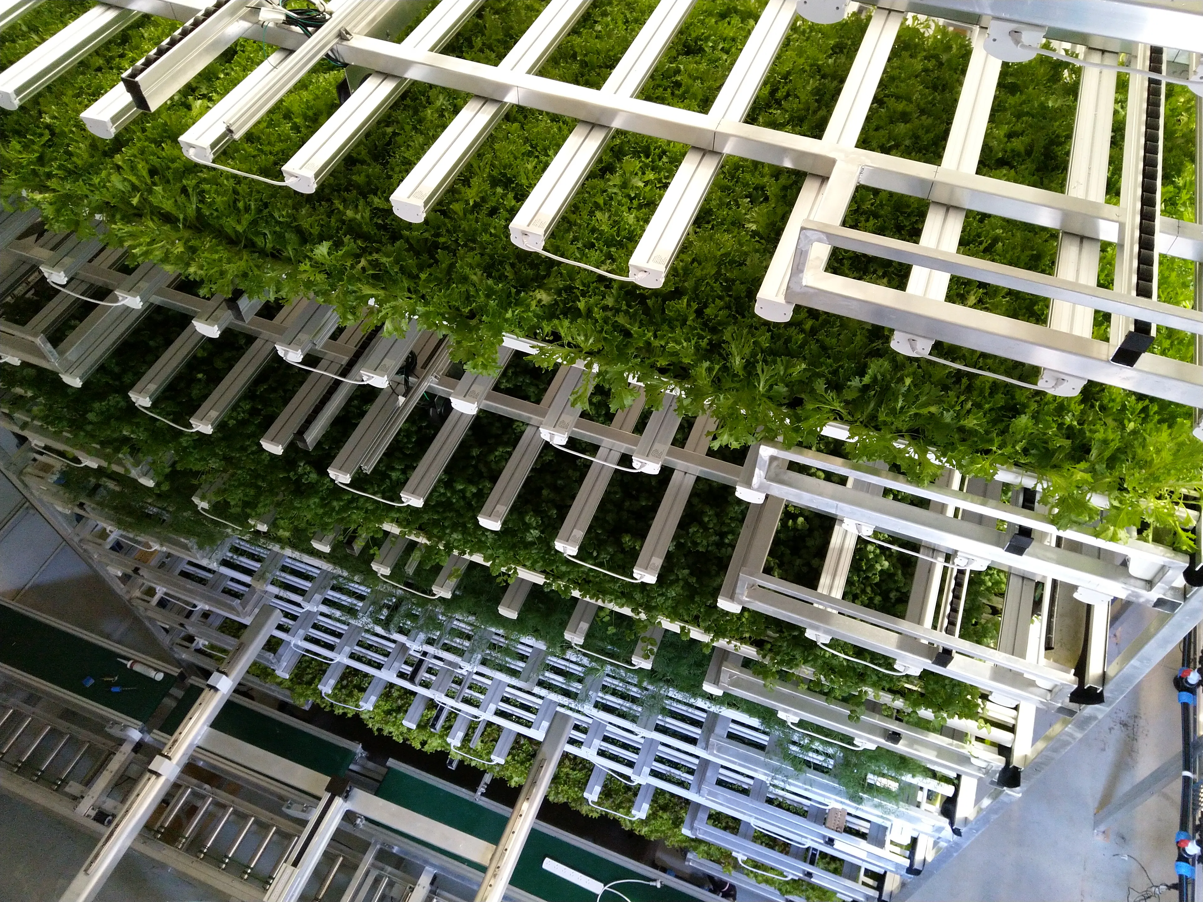 Burleigh farm - automation