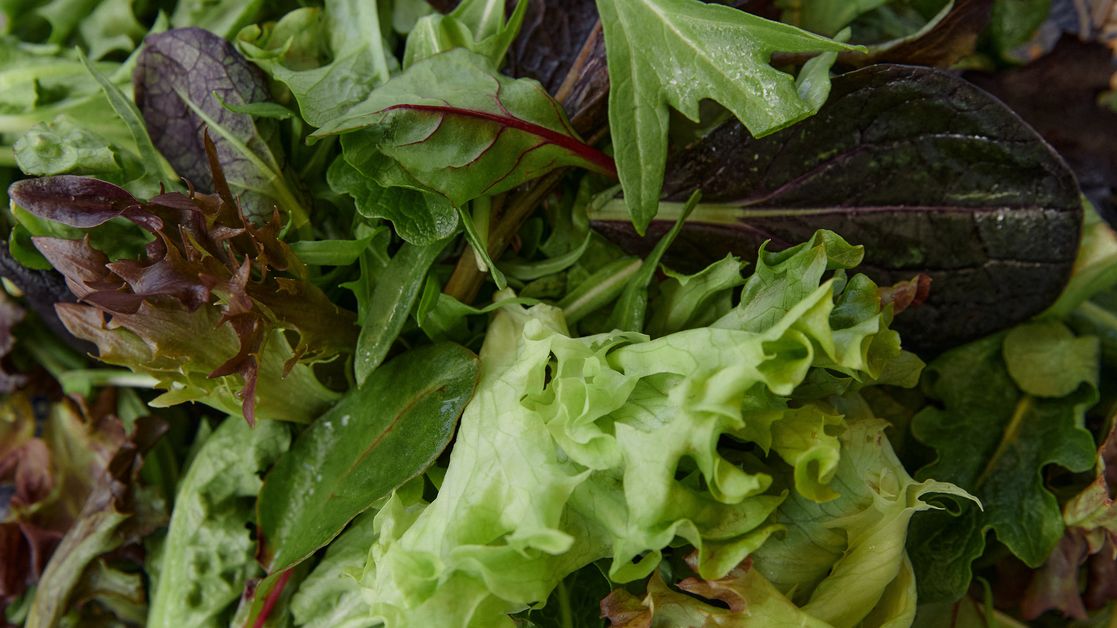 Stacked Farm mixed greens closeup