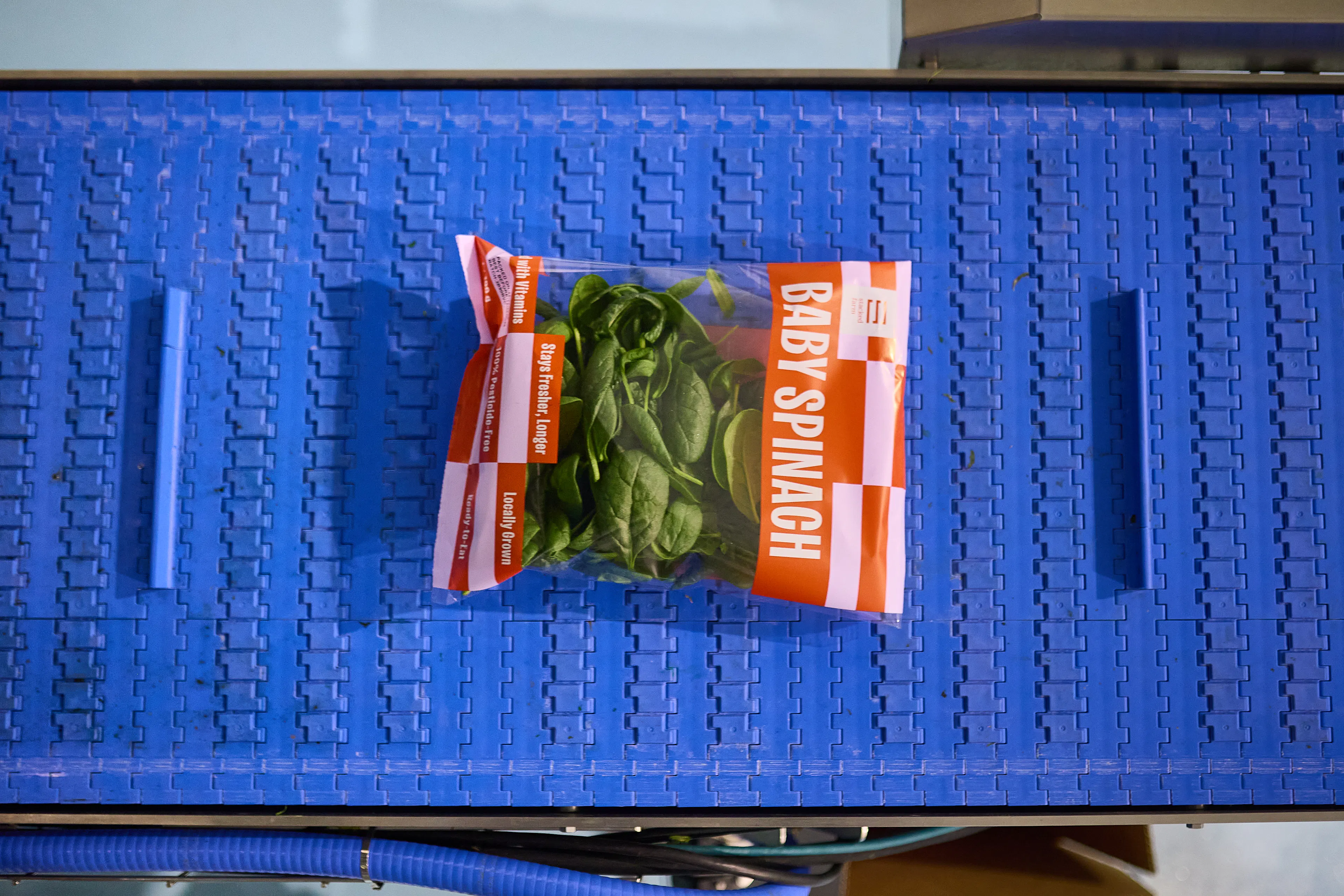 Stacked Farm product on conveyor belt in packaging