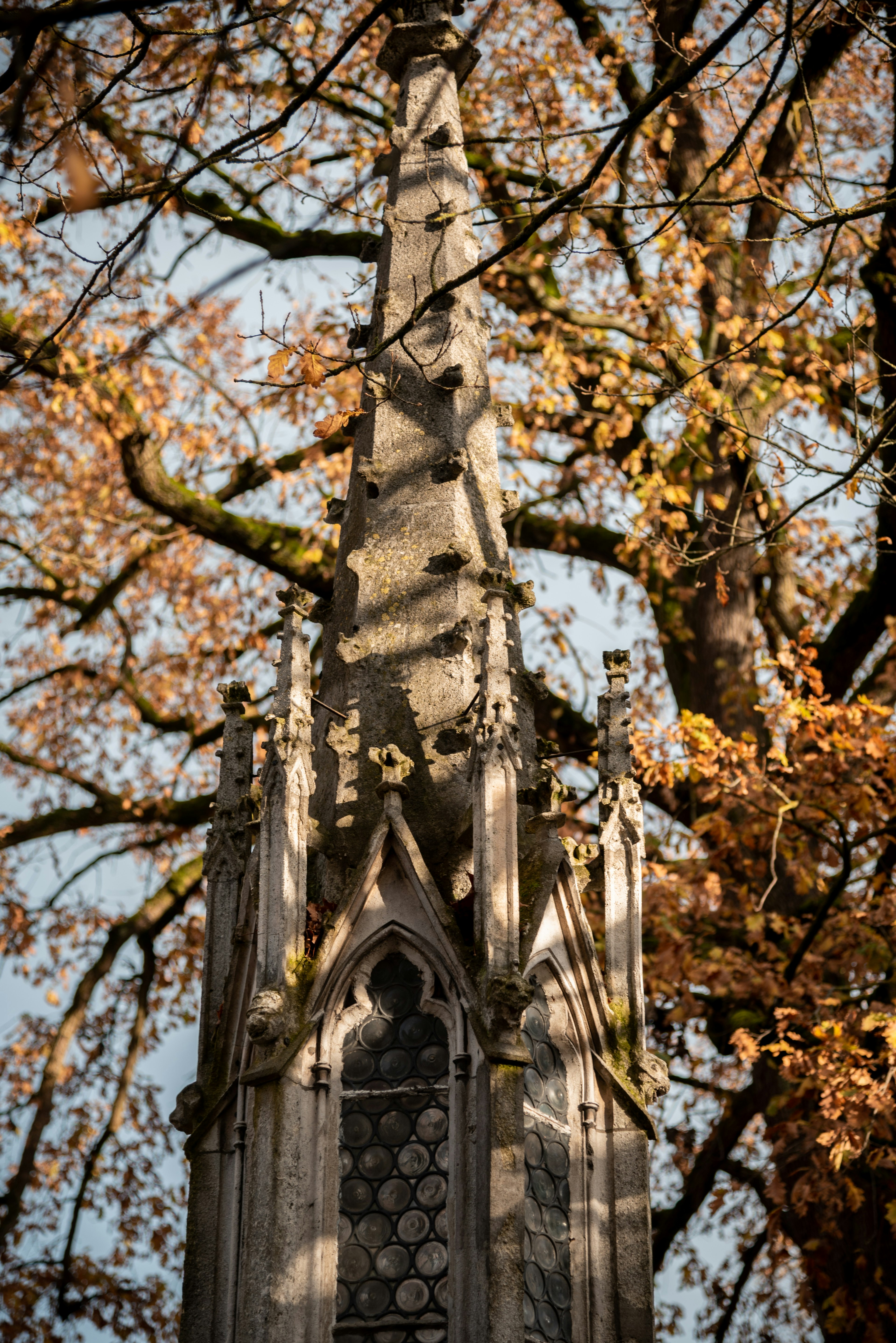 Teil der Dombauhütte im Herbst