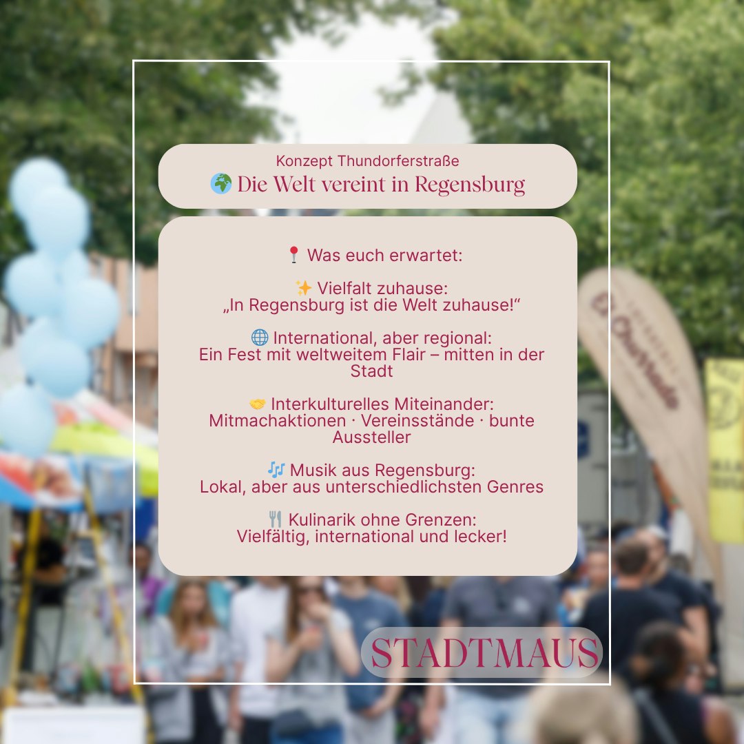 Textlich/grafische Darstellung des Konzepts für die Thundorferstraße