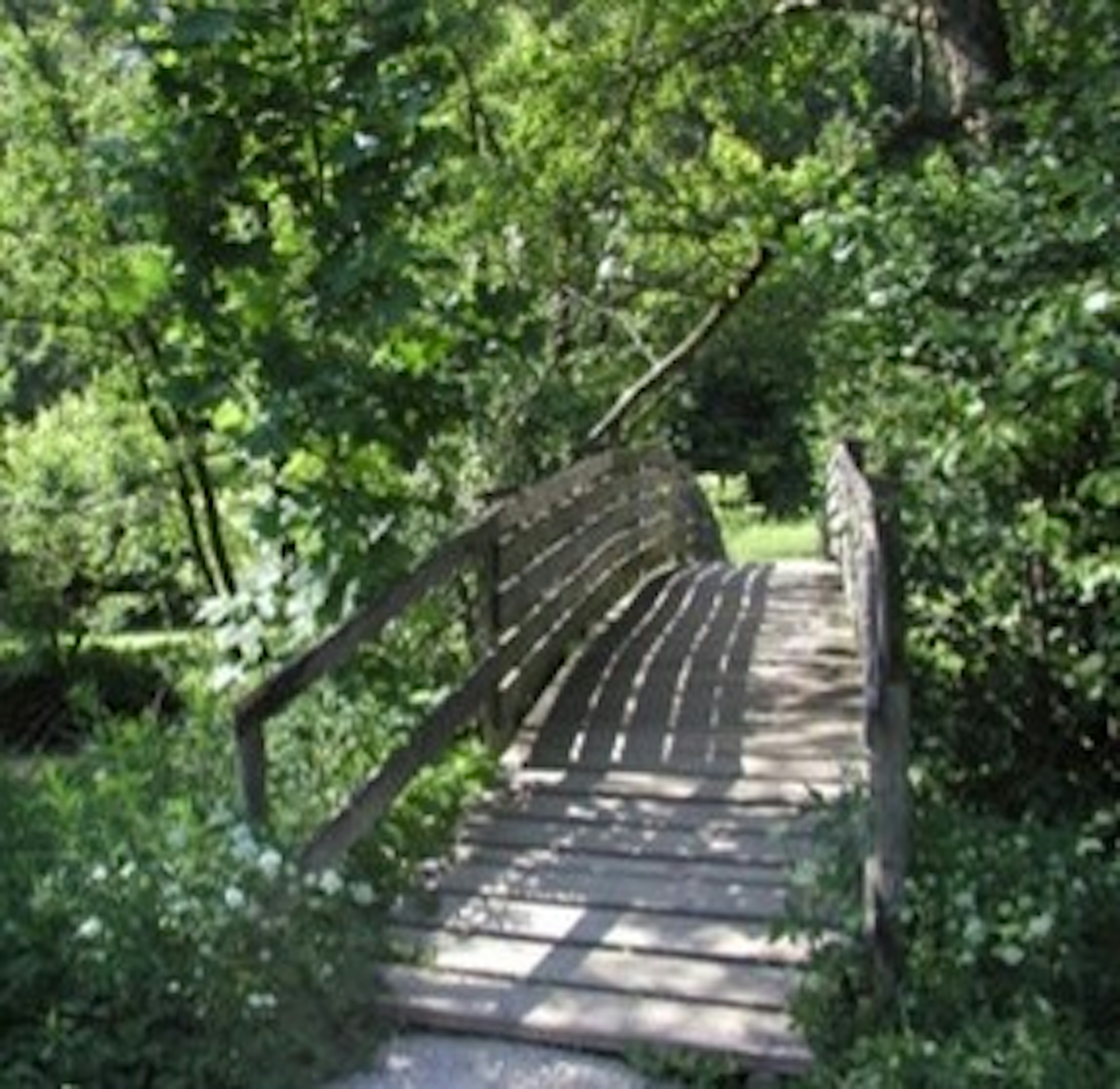 Kleine Holzbrücke im Wald