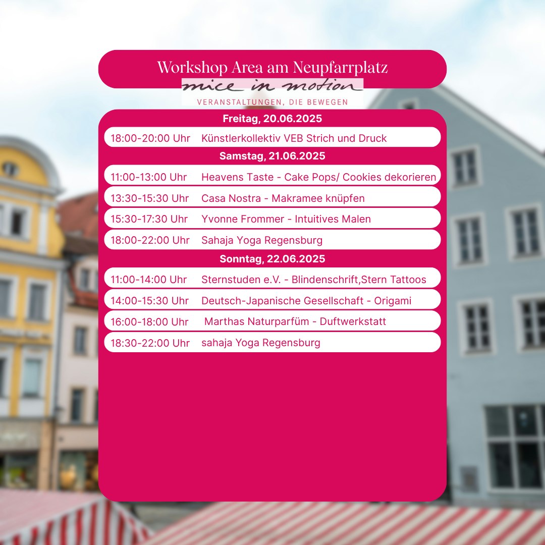 Textlich/grafische Darstellung des Workshopprogramms am Neupfarrplatz