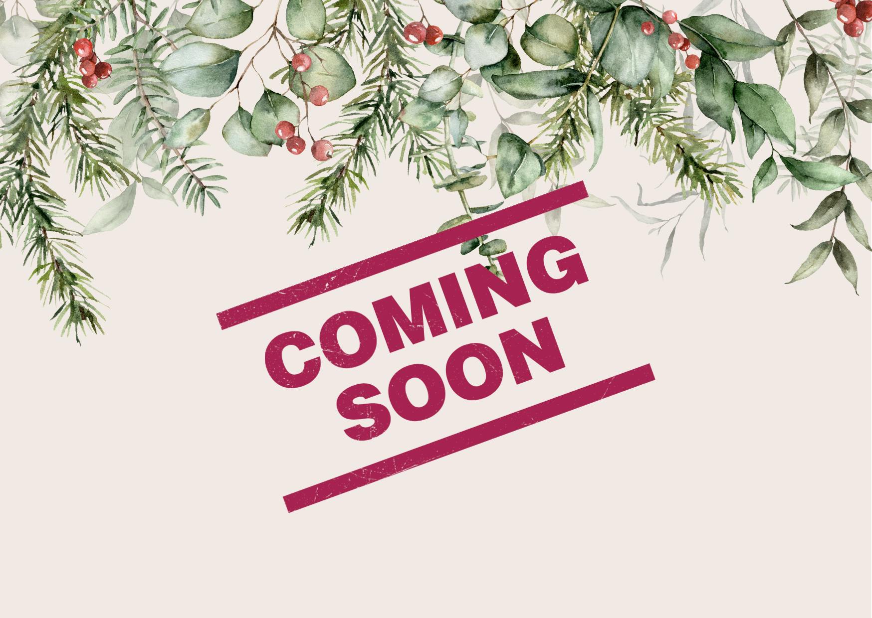 Teaser Weihnachtsprogramm