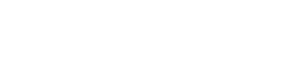 European Union flag with text on the right that says co-funded by the European Union