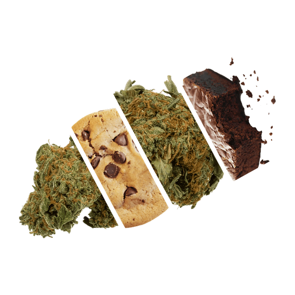 Infused Taco - 100 MILLIGRAMS