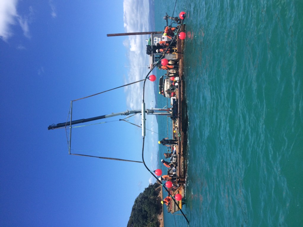 Waiheke Cable Project