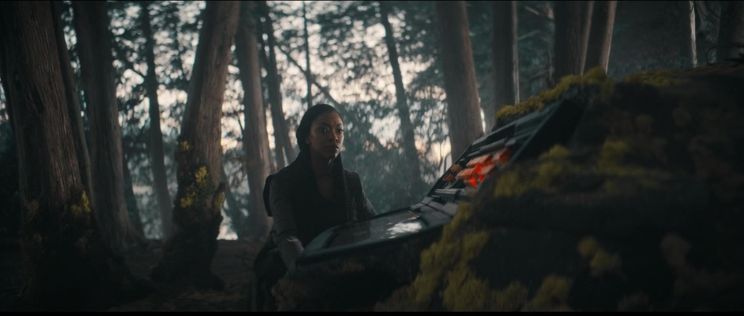 Michael Burnham crouches beside a hidden computer panel that requires maintenance on the surface of Halem'no in 'Whistlespeak'