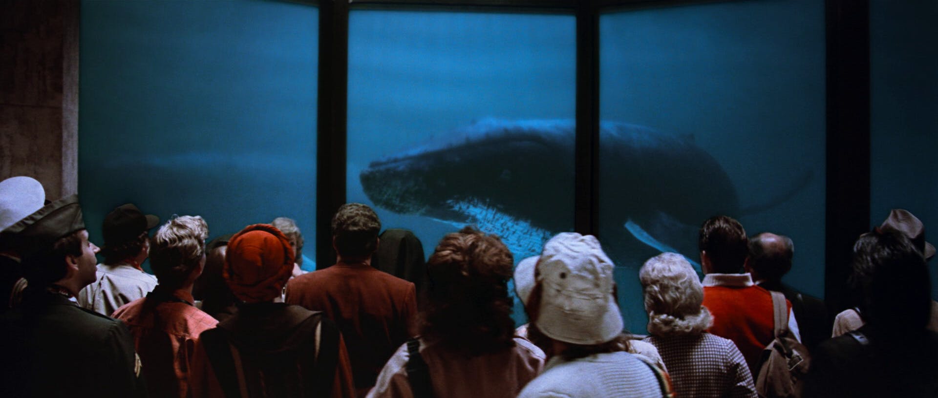 At the Cetacean Institute, Dr. Gillian Taylor escorts a tour group to the Institute's pride and joy, the only two humpbacks in captivity, named George and Gracie in Star Trek IV: The Voyage Home