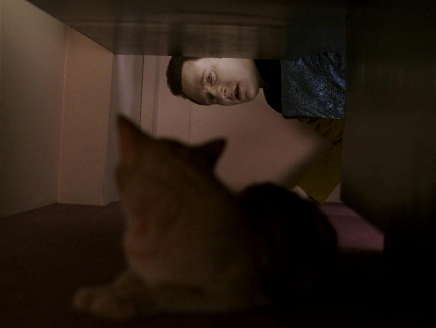Data looks for Spot under Geordi's bed in 'Force of Nature'