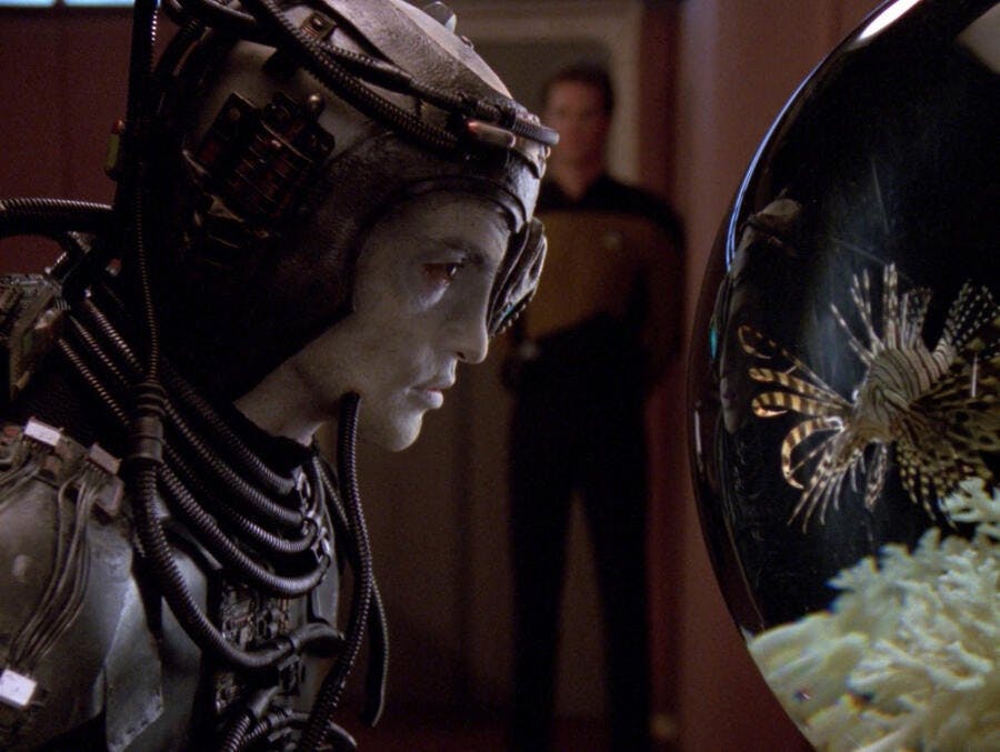 Borg drone Hugh bends over in curiosity looking at the fish bowl in Picard's Ready Room in 'I, Borg'