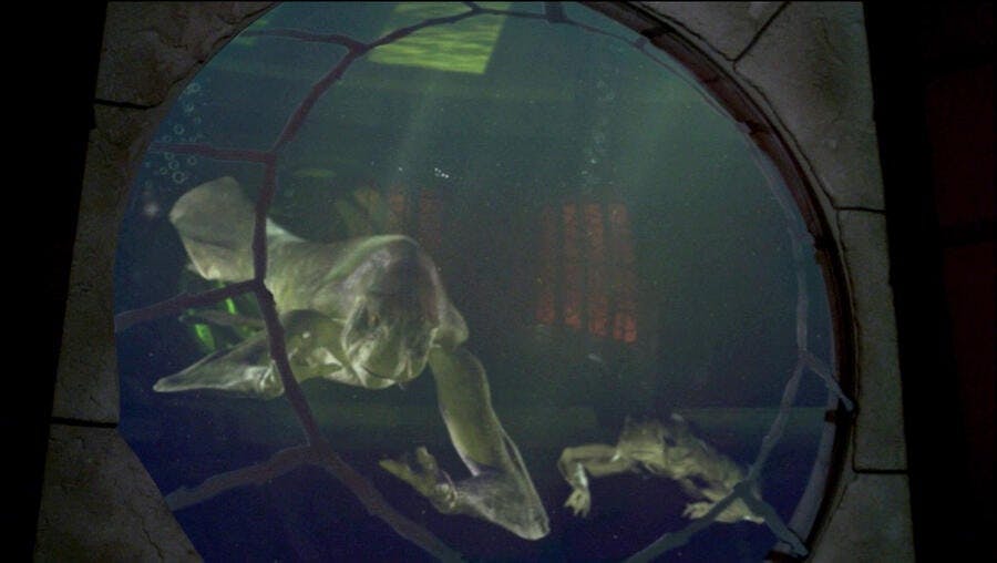 The Xindi-Aquatics in water in 'The Xindi'