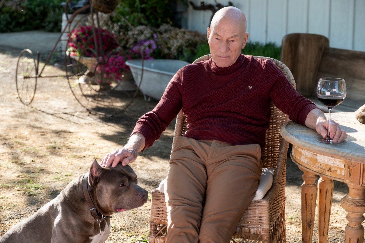 Lost in thought, Jean-Luc Picard nurses a glass of Chateau Picard wine in one hand while the other rest on his pet dog Number One's head 