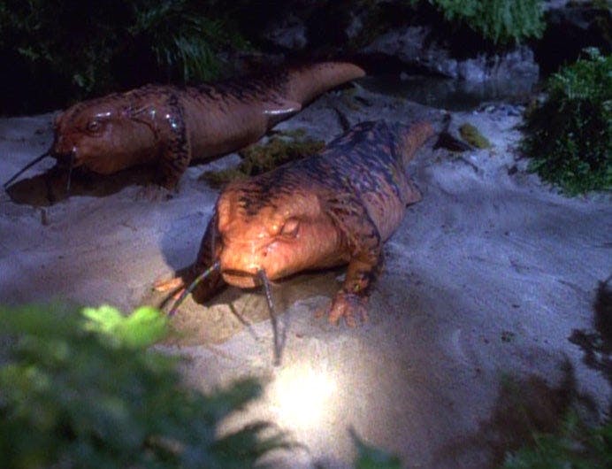 Janeway and Tom Paris appear as salamanders on Star Trek: Voyager's Threshold