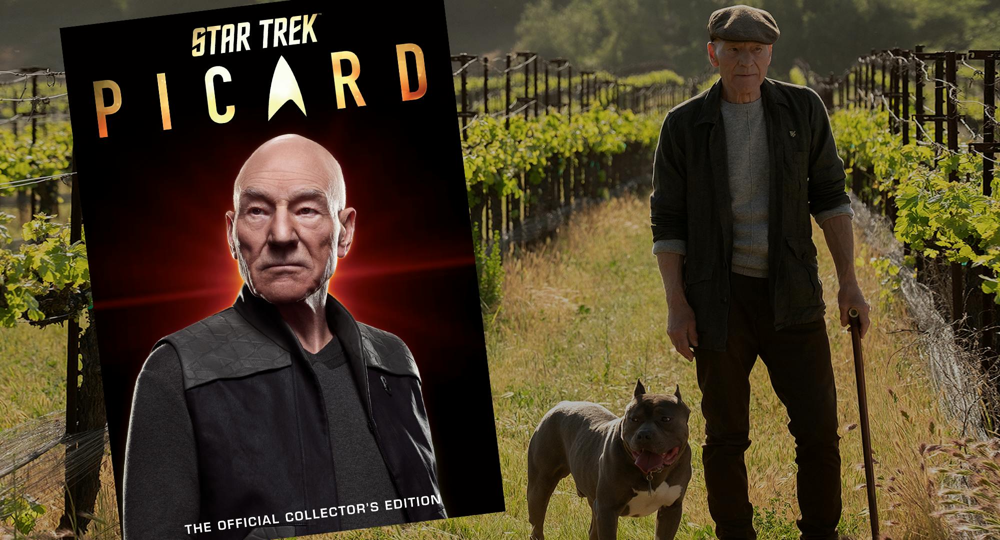 Star Trek: Picard - Official Collector's Edition