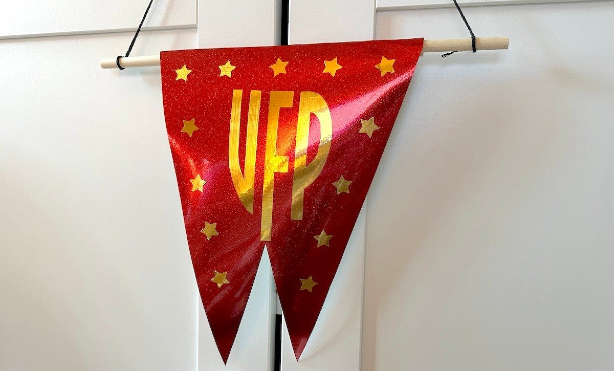 United Federation of Planets banner craft